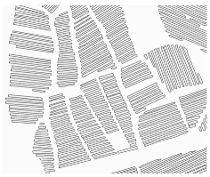 Agriculture 14 00736 i008