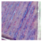 Agriculture 14 00736 i010