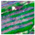 Agriculture 14 00736 i011