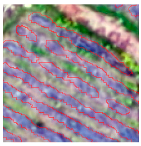 Agriculture 14 00736 i013