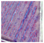 Agriculture 14 00736 i014