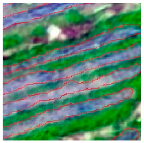 Agriculture 14 00736 i019