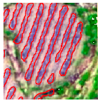 Agriculture 14 00736 i021