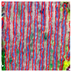 Agriculture 14 00736 i022