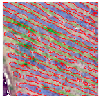 Agriculture 14 00736 i026