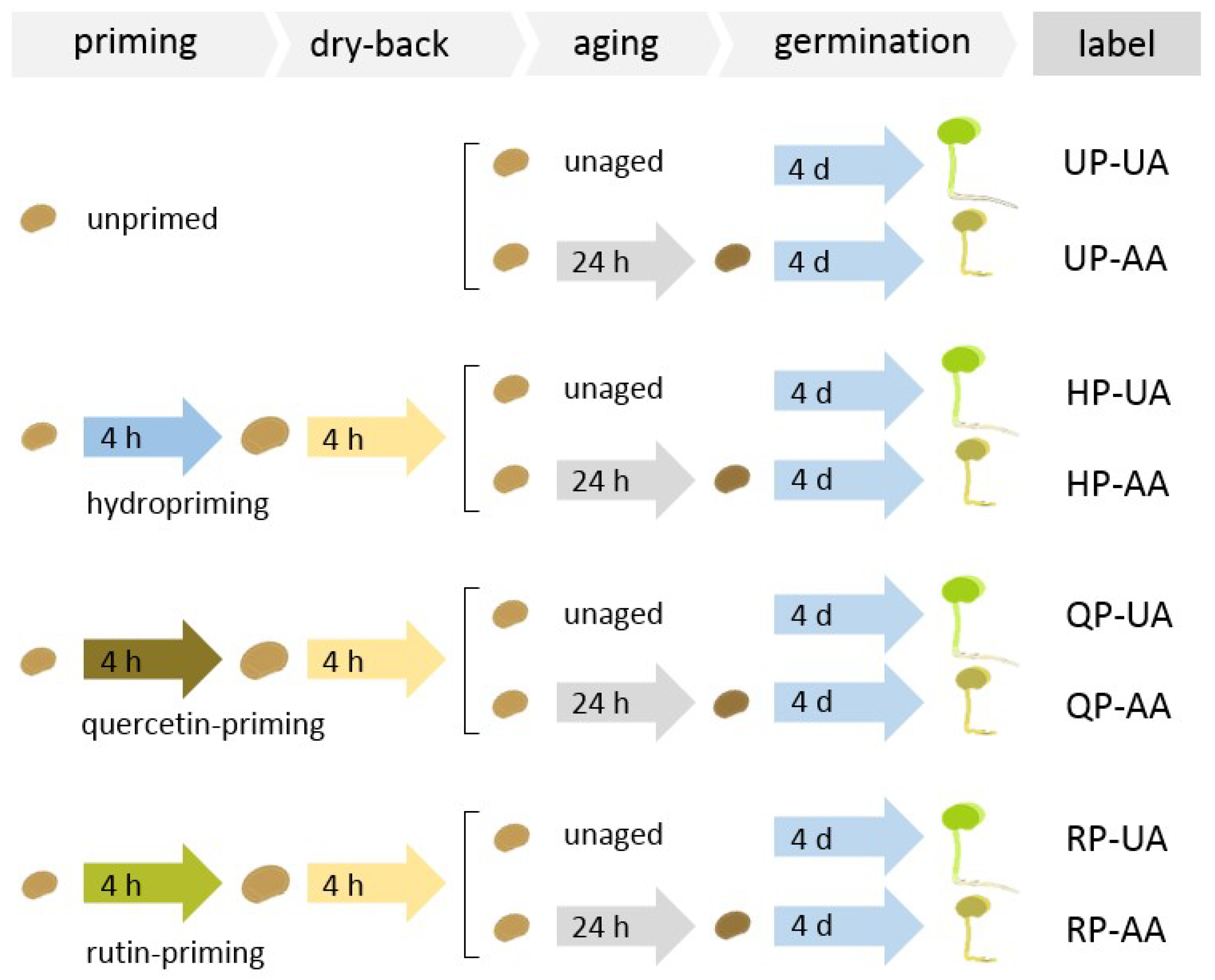 Agriculture 14 00738 g001