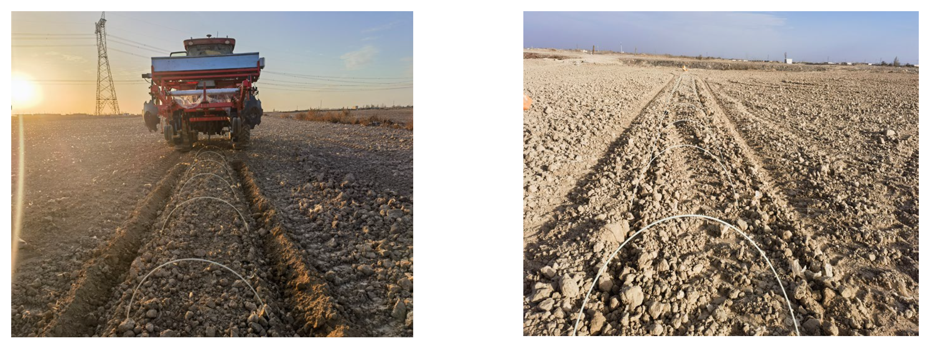 Agriculture 14 00739 g015