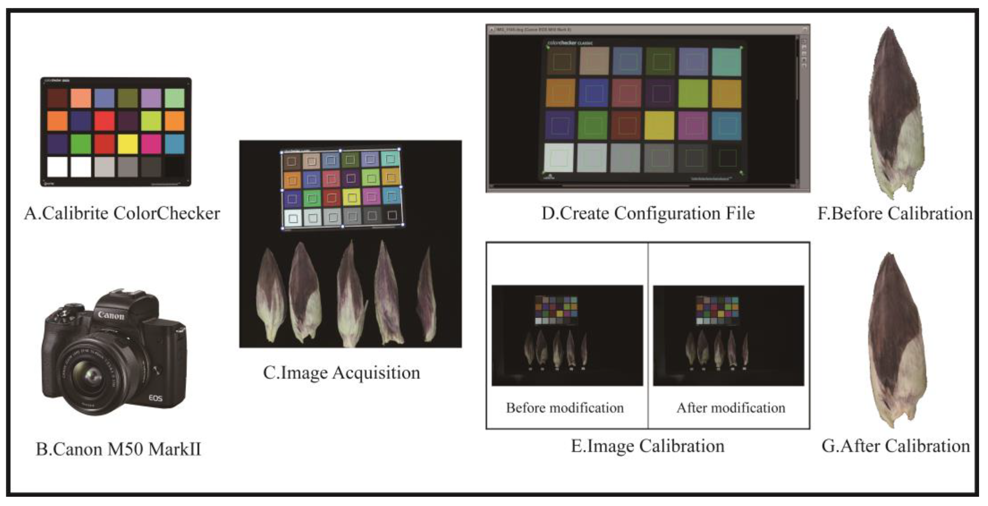 Agriculture 14 00744 g001