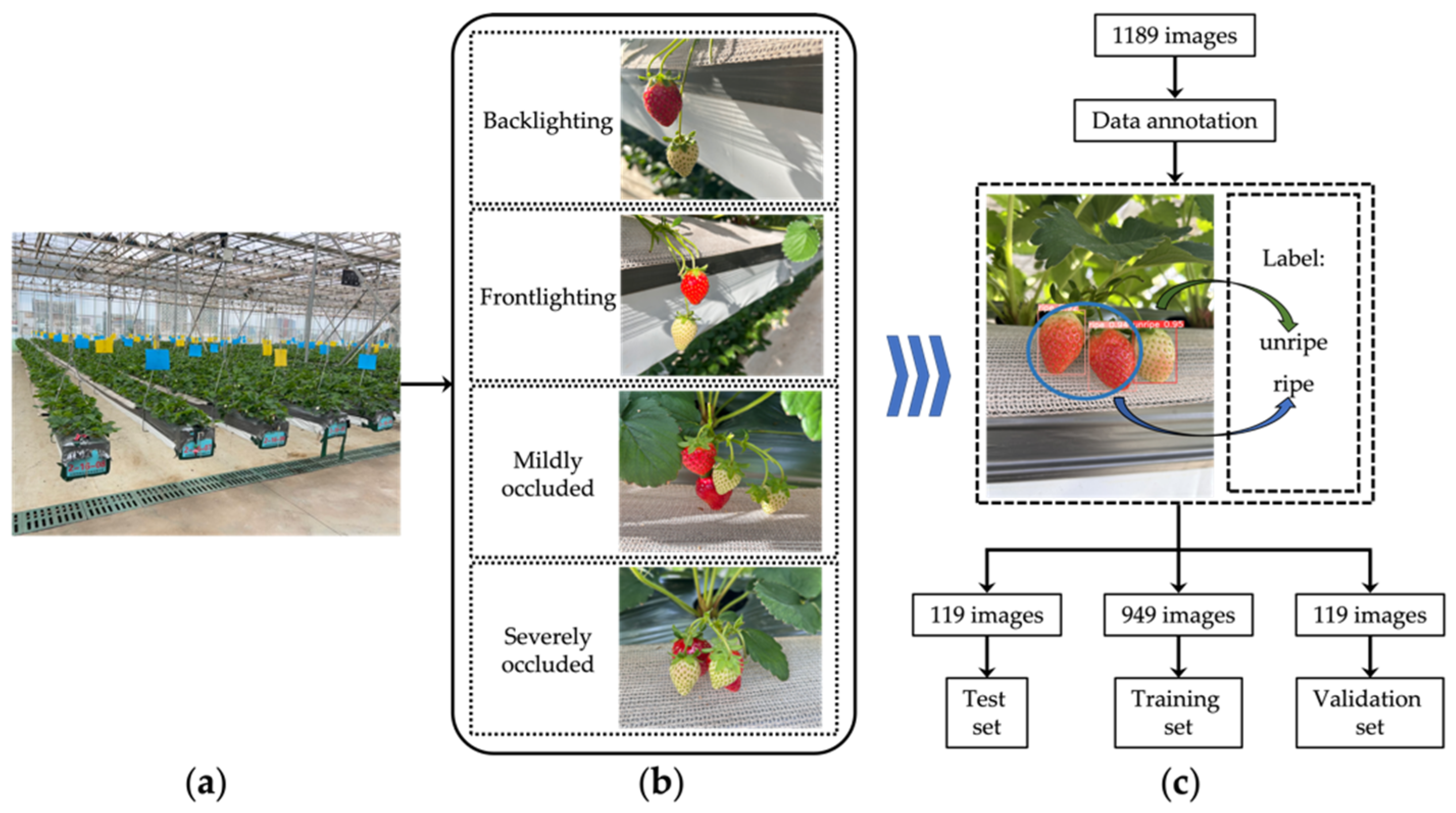 Agriculture 14 00751 g001