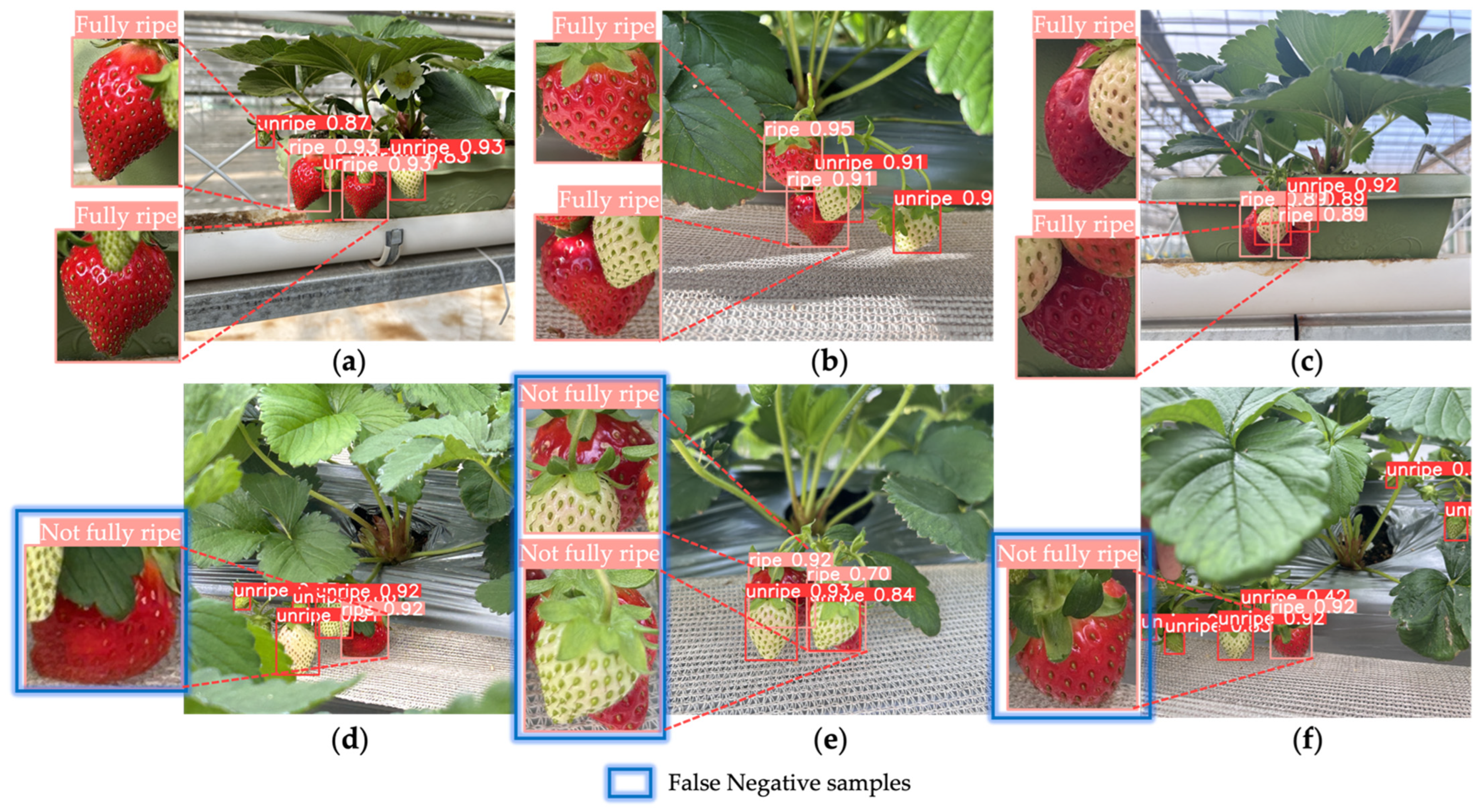 Agriculture 14 00751 g011