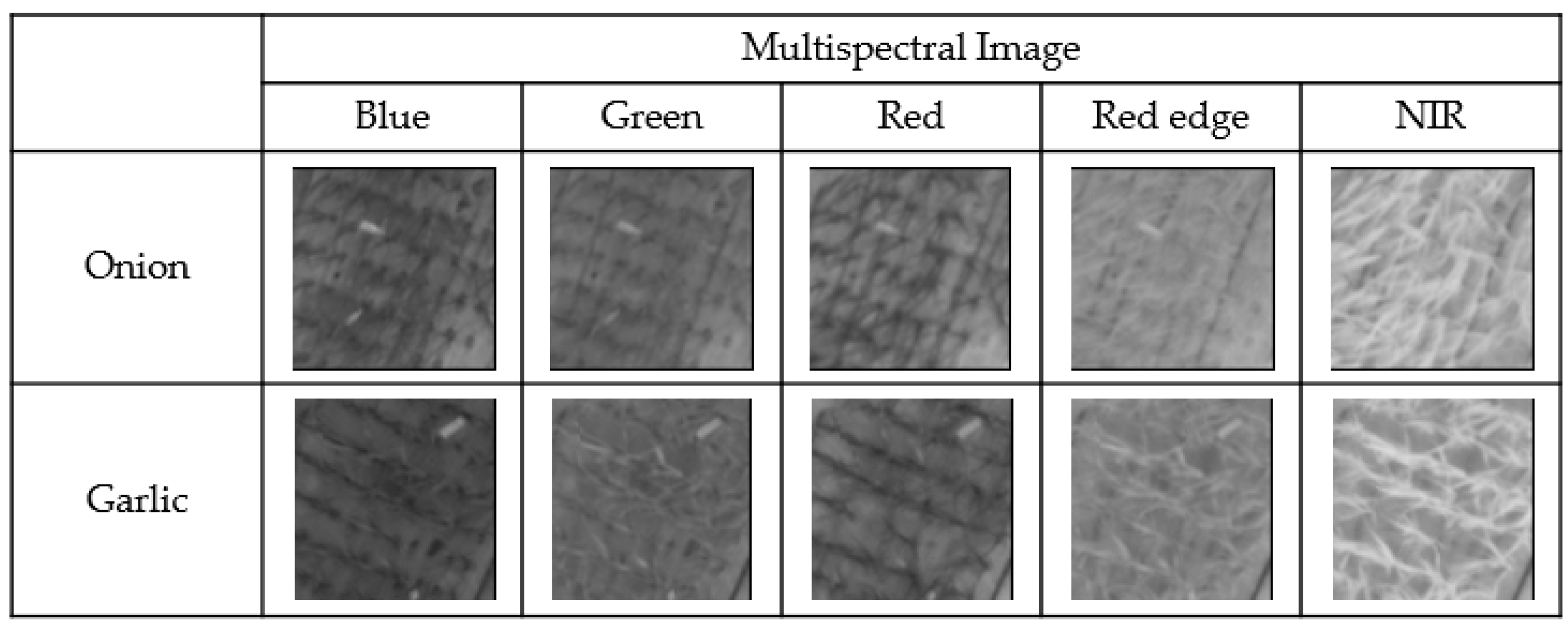 Agriculture 14 00754 g003