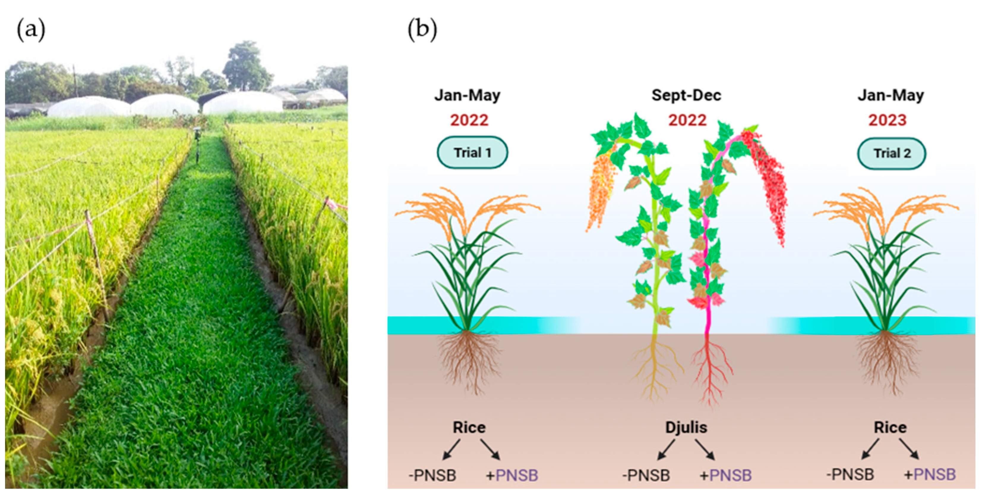Agriculture 14 00758 g001