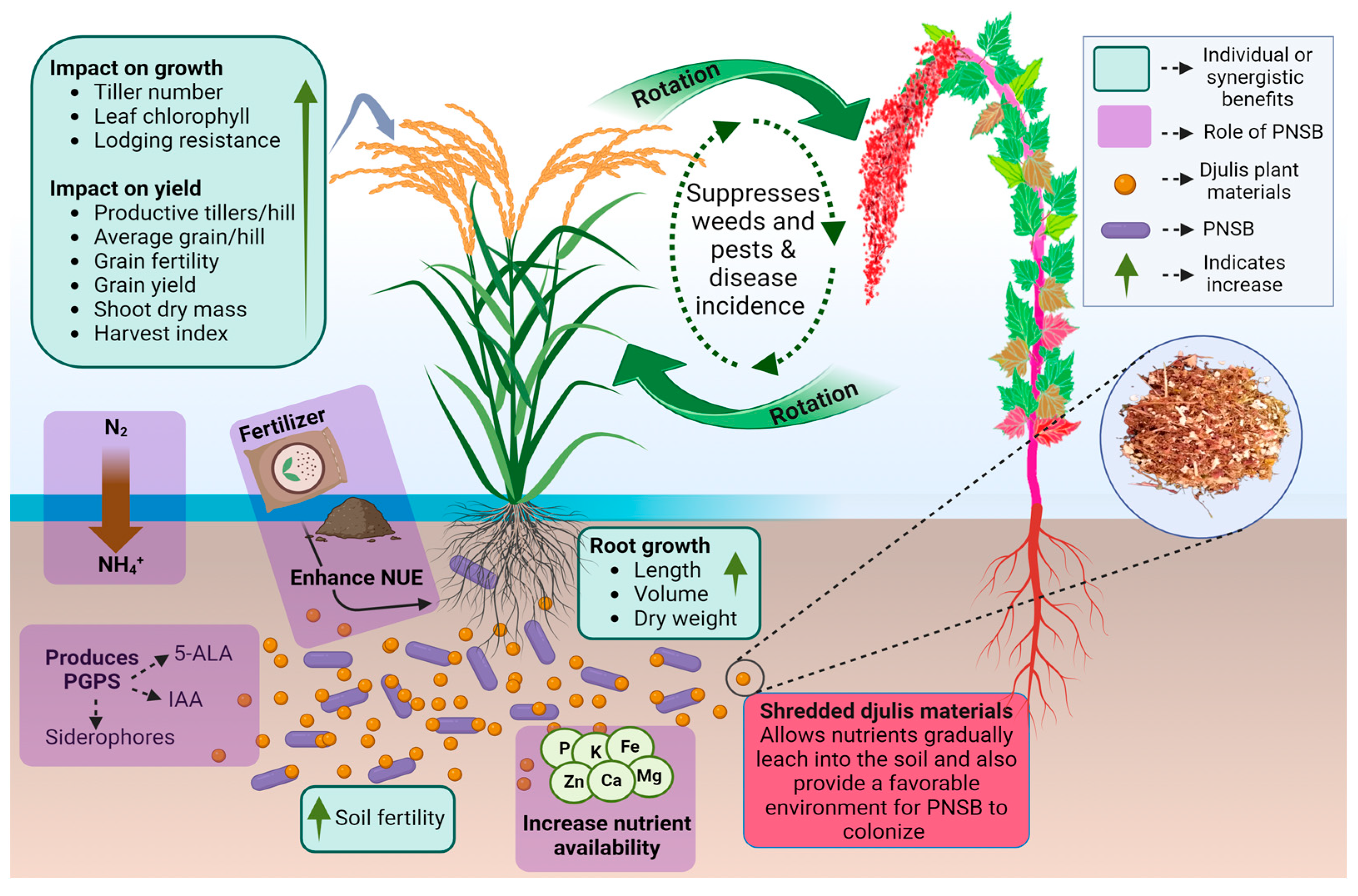 Agriculture 14 00758 g011