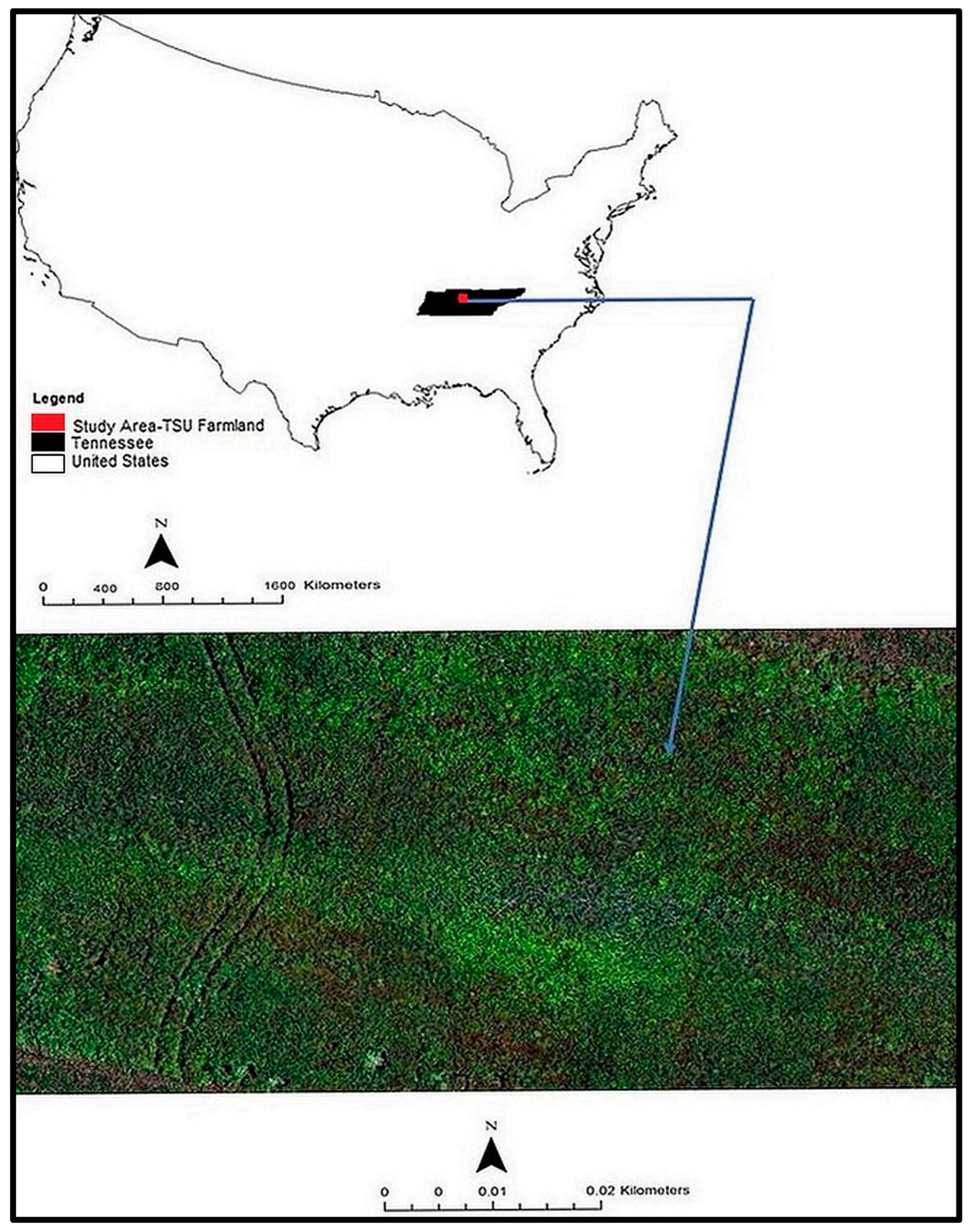 Agriculture 14 00760 g001