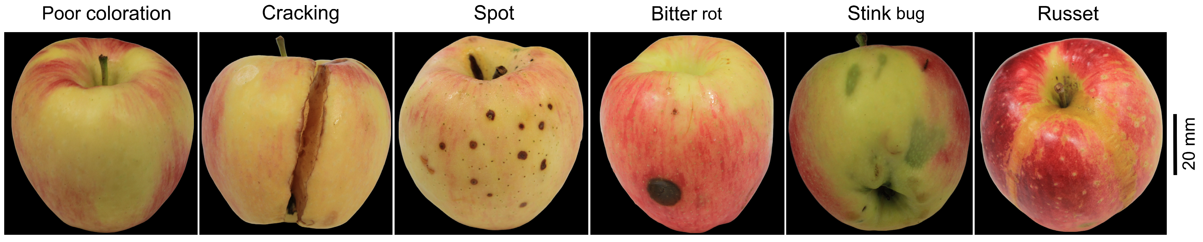 Agriculture 14 00761 g004 Agriculture 14 00761 g004