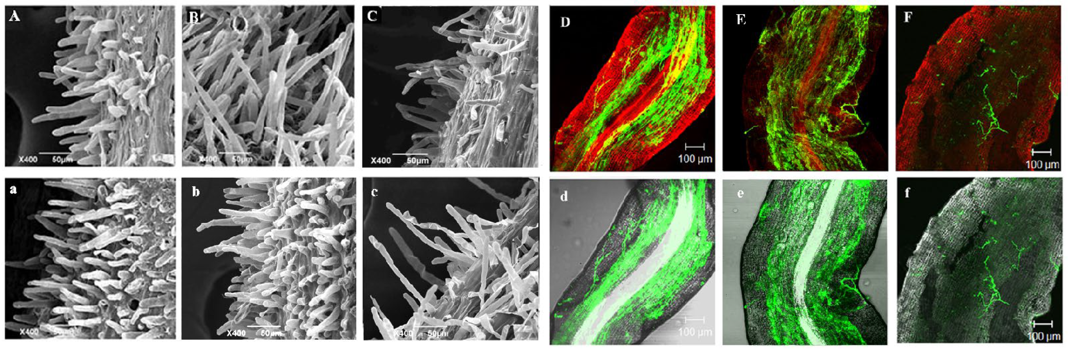 Agriculture 14 00763 g002