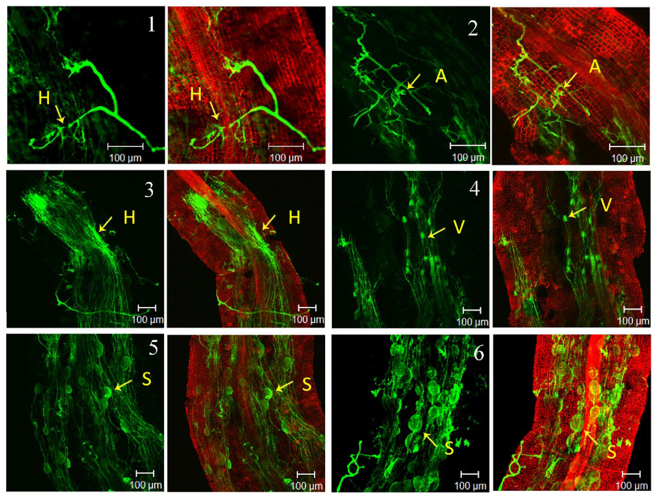 Agriculture 14 00763 g003