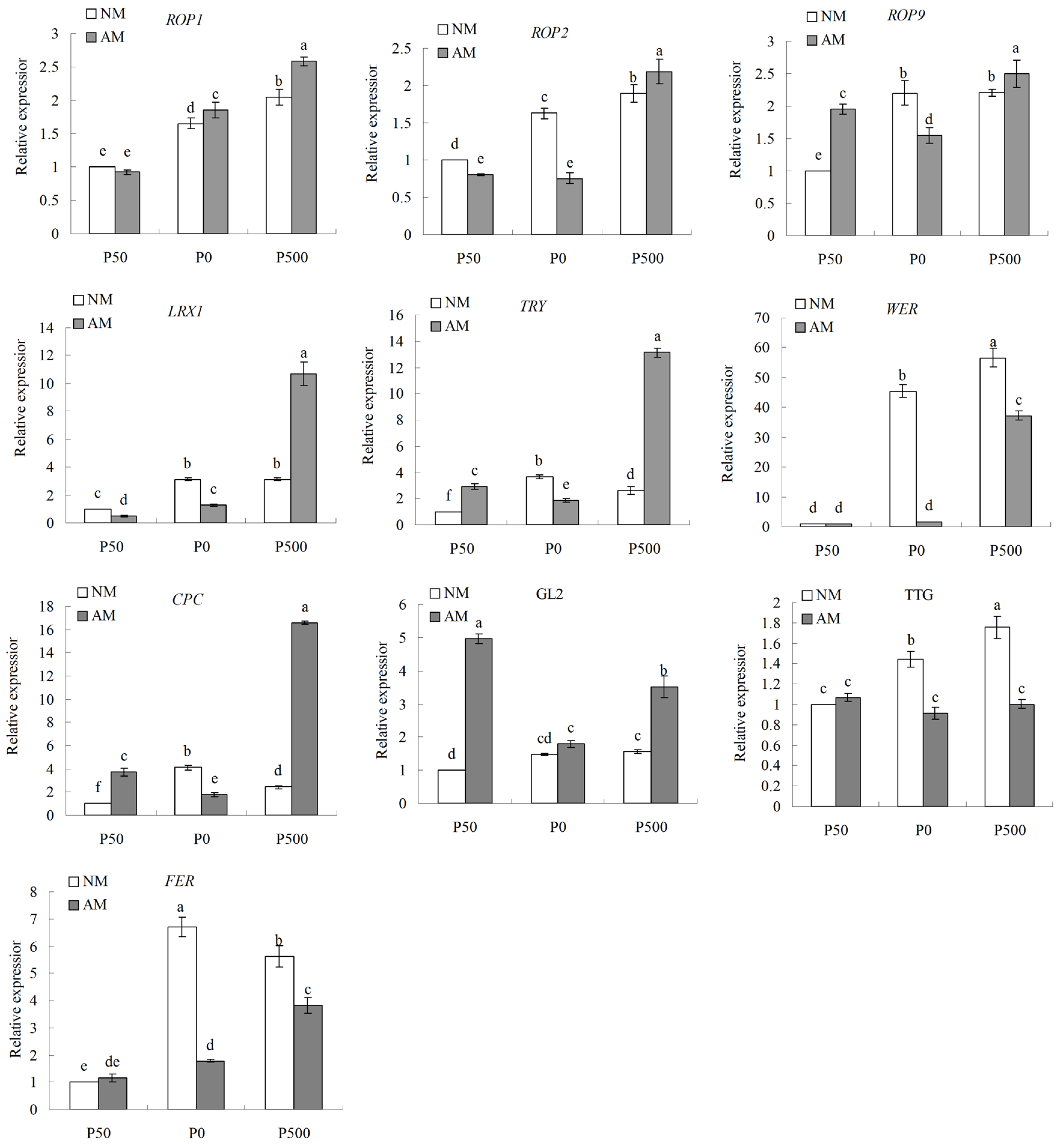 Agriculture 14 00763 g004