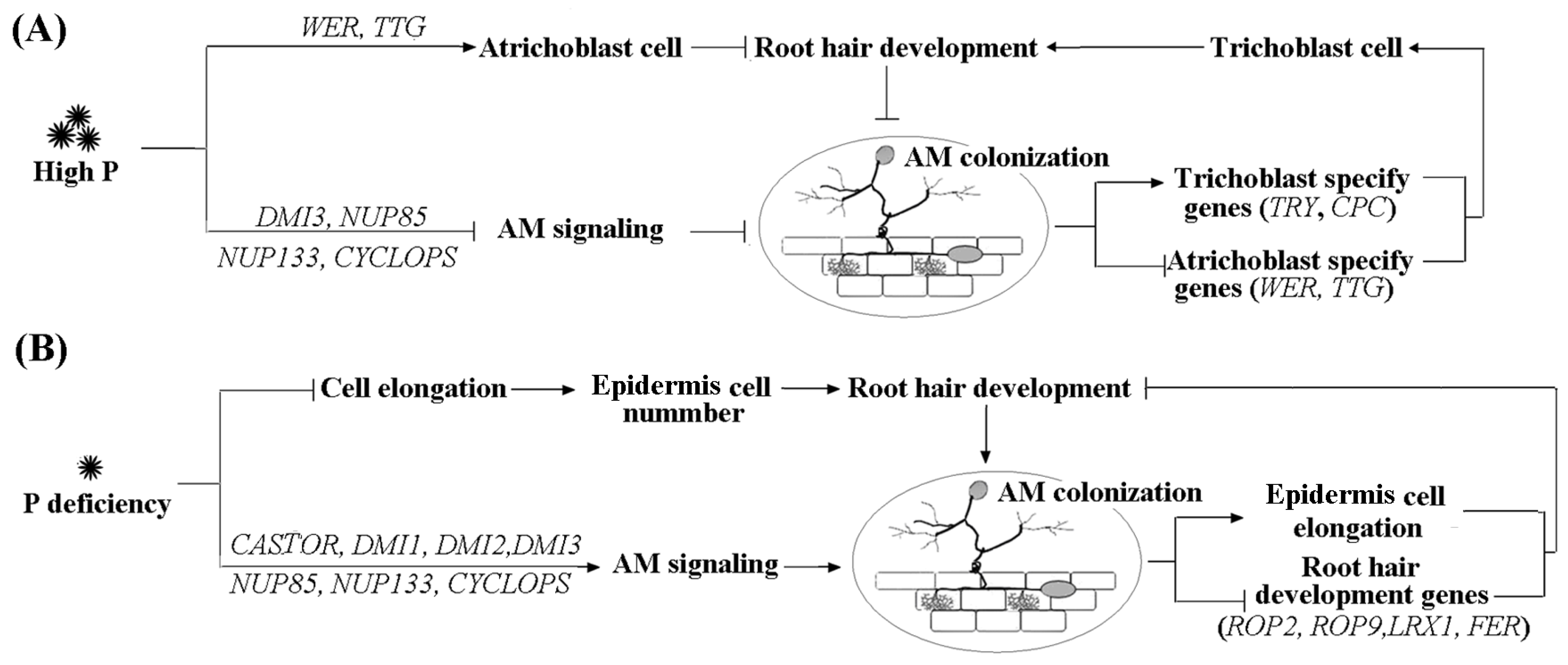 Agriculture 14 00763 g006