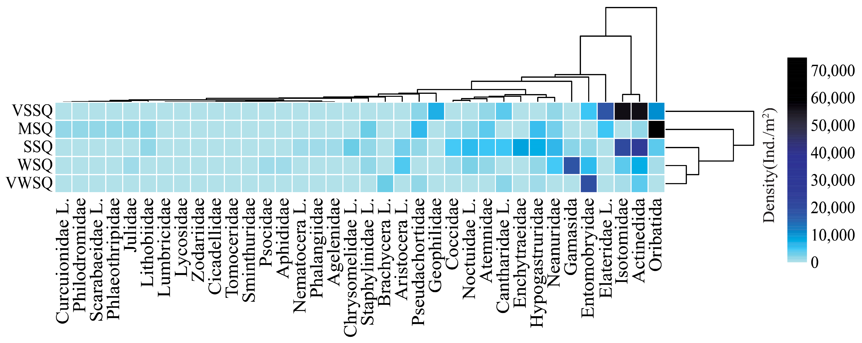Agriculture 14 00766 g005