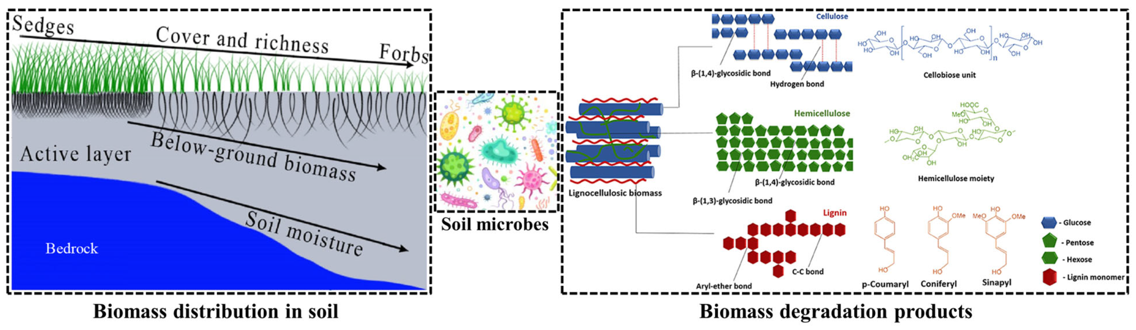 Agriculture 14 00773 g001