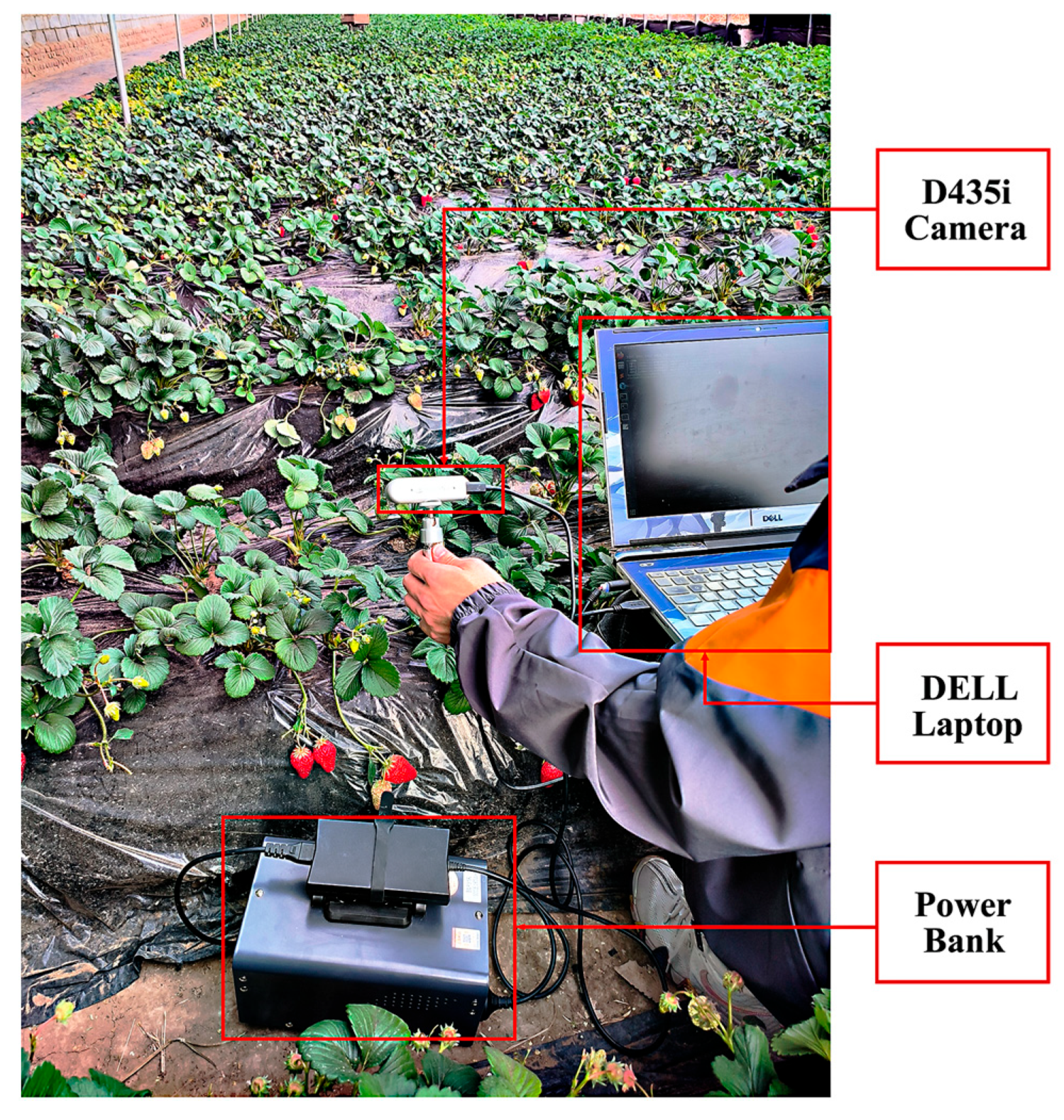 Agriculture 14 00784 g002