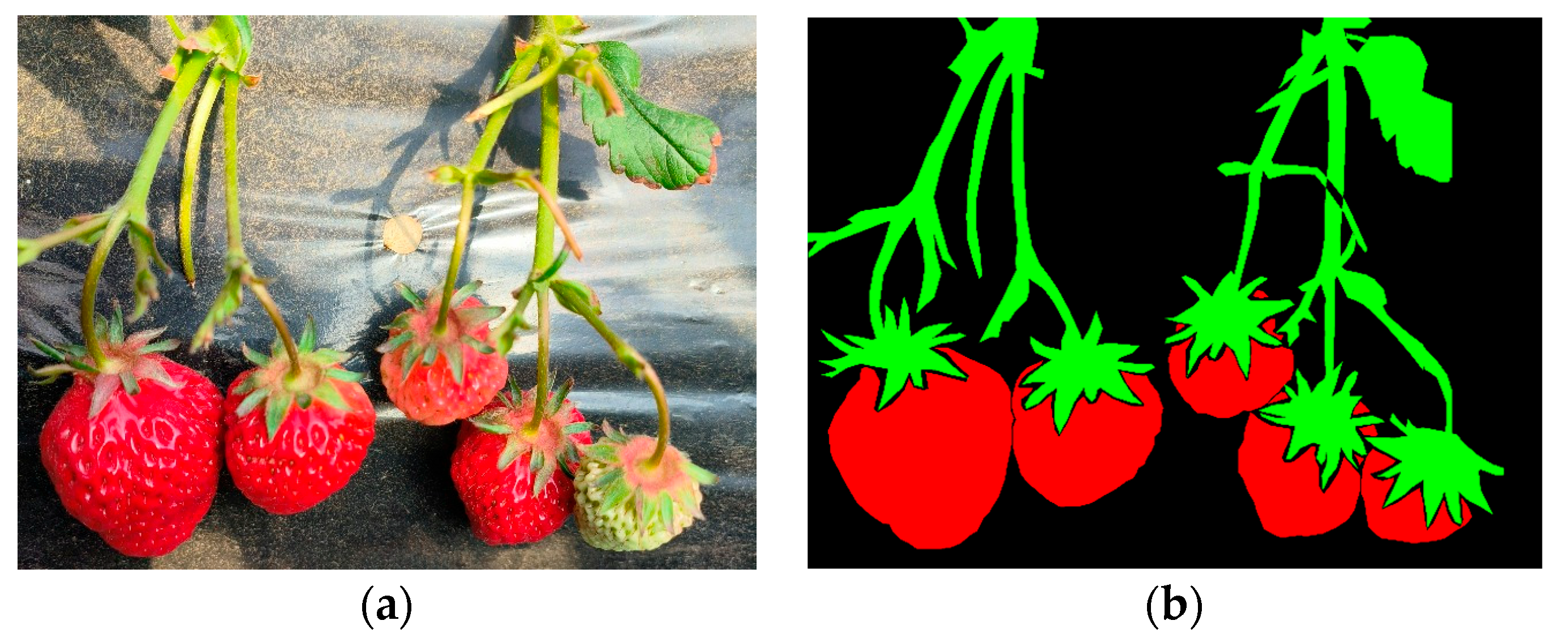 Agriculture 14 00784 g003