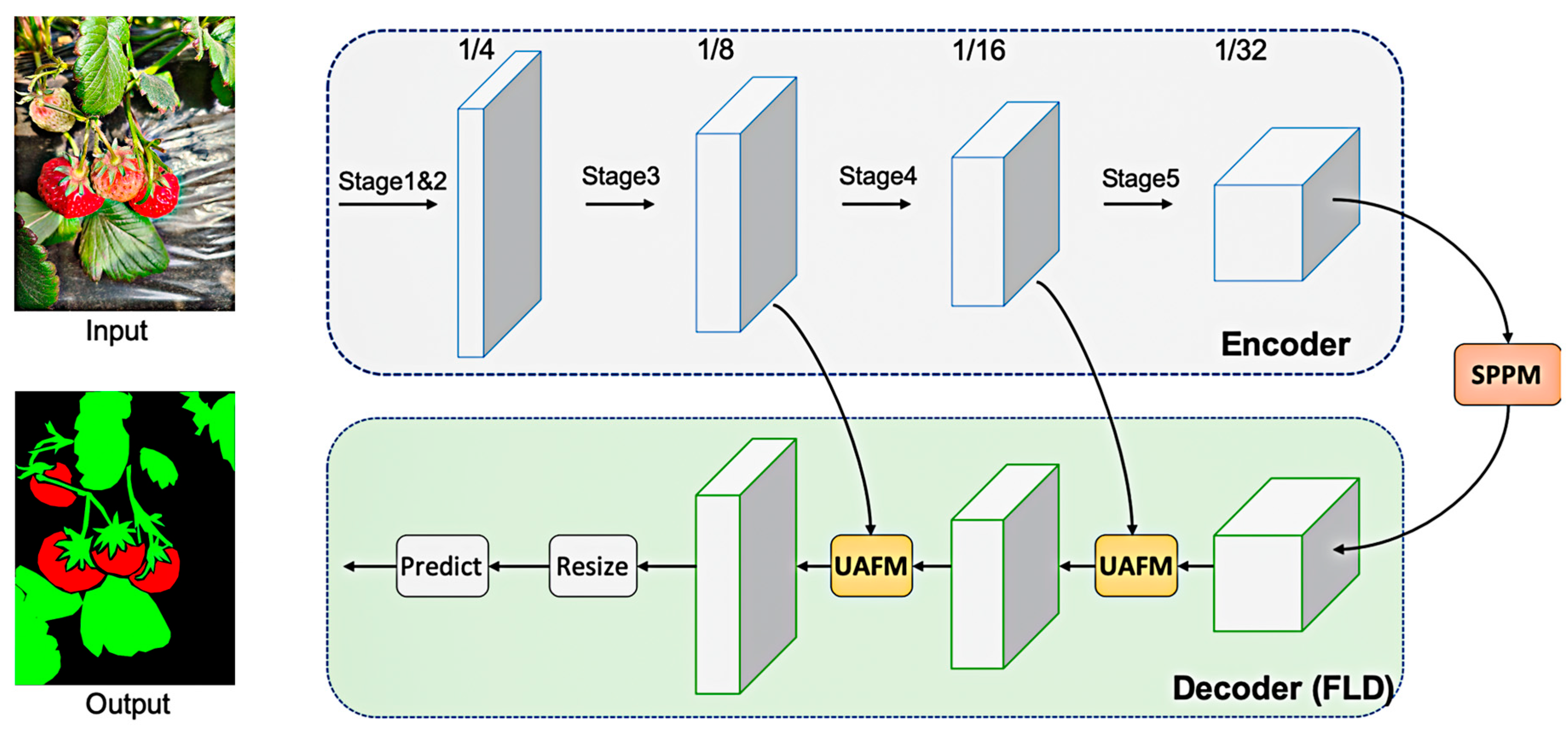 Agriculture 14 00784 g005