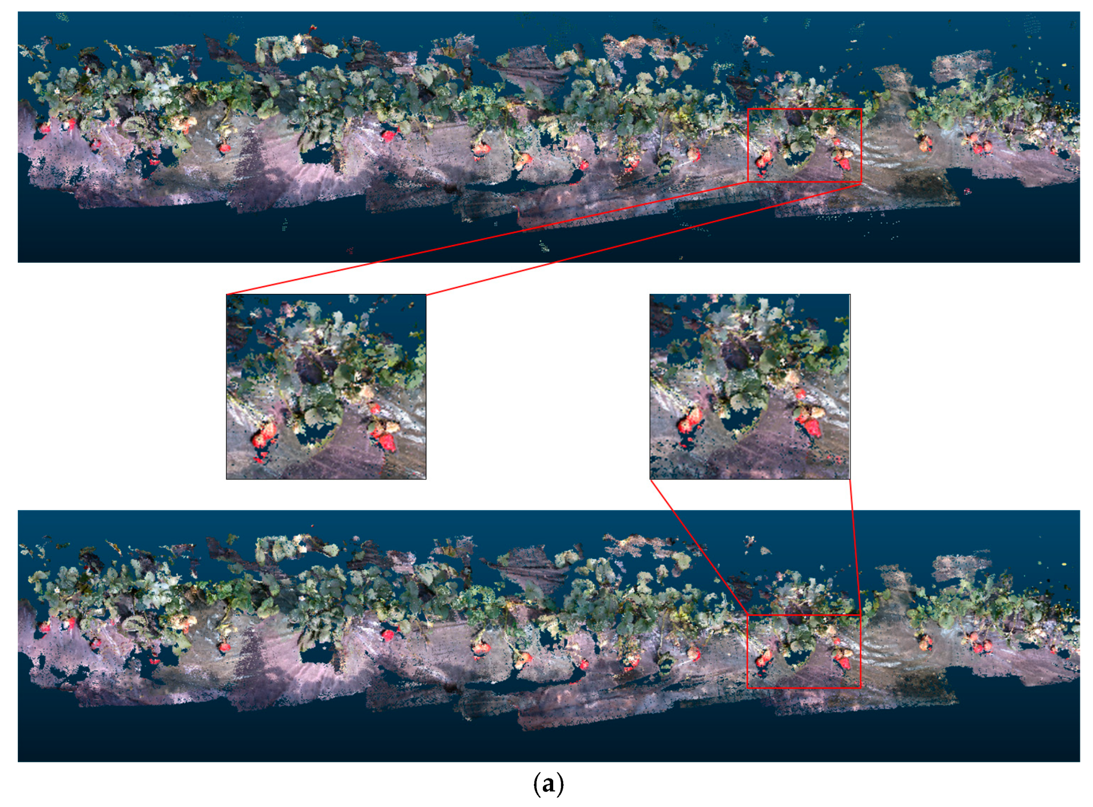 Agriculture 14 00784 g013a