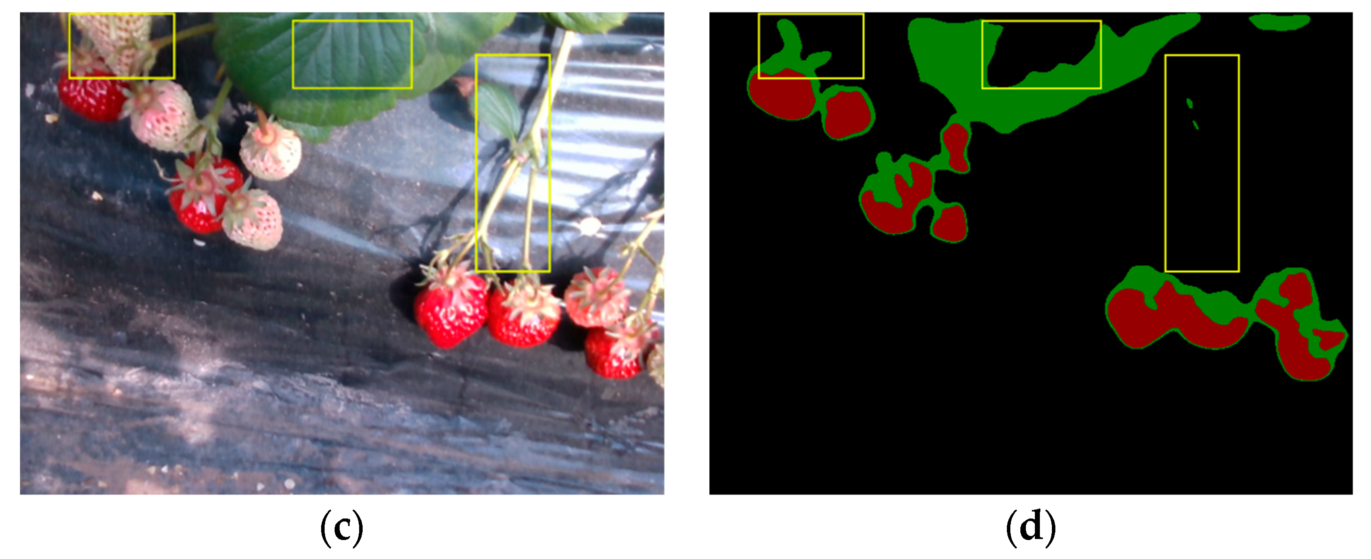 Agriculture 14 00784 g017b