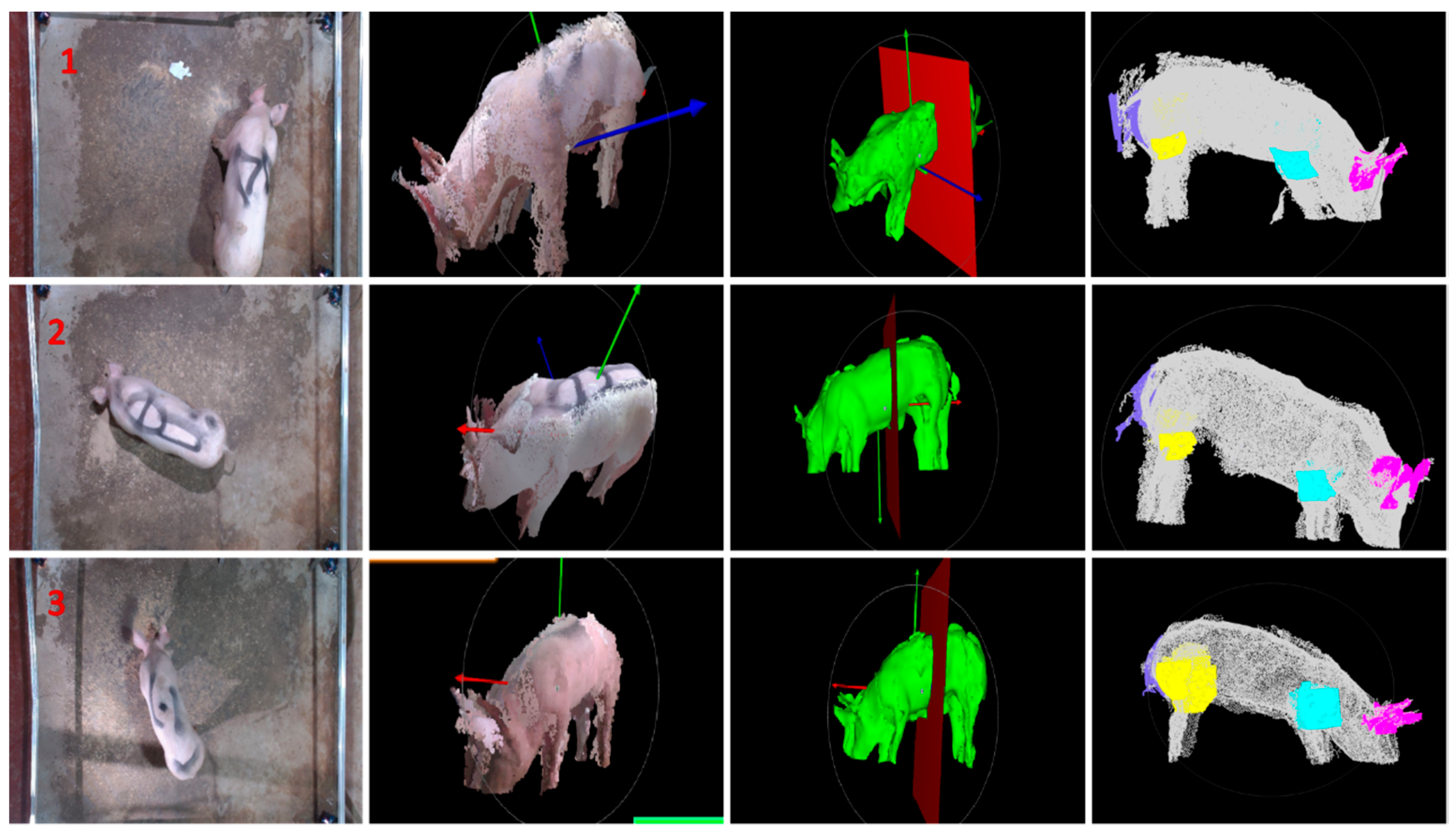 Agriculture 14 00793 g009