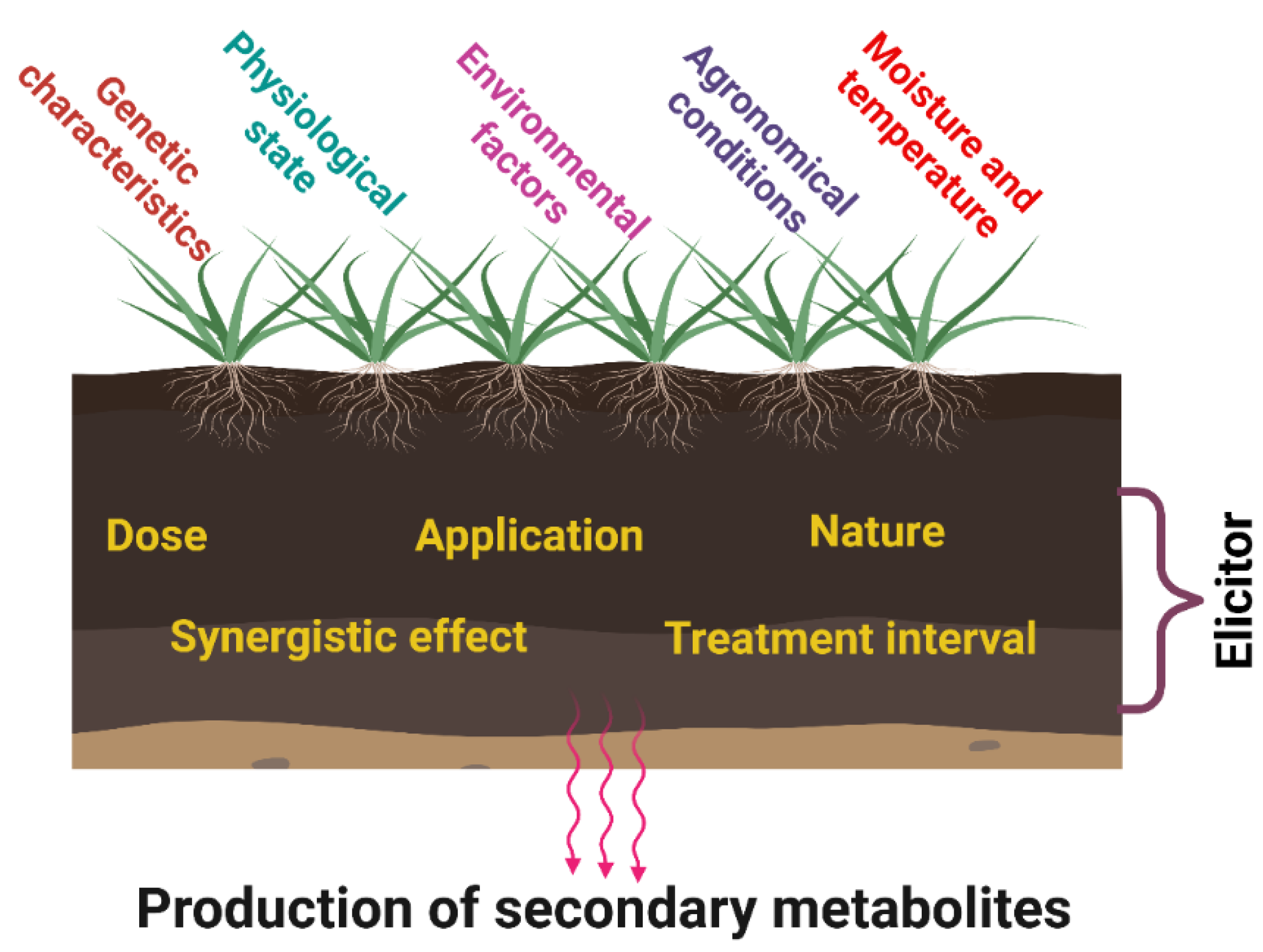 Agriculture 14 00796 g002