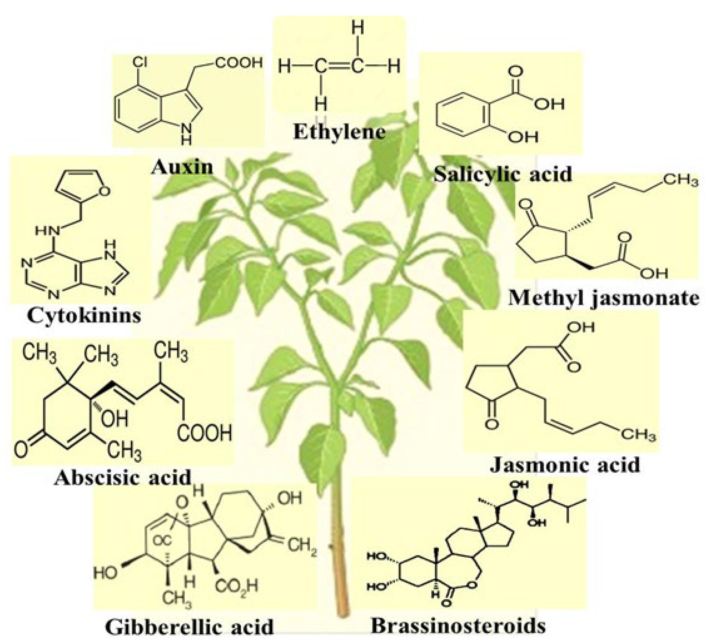 Agriculture 14 00796 g004