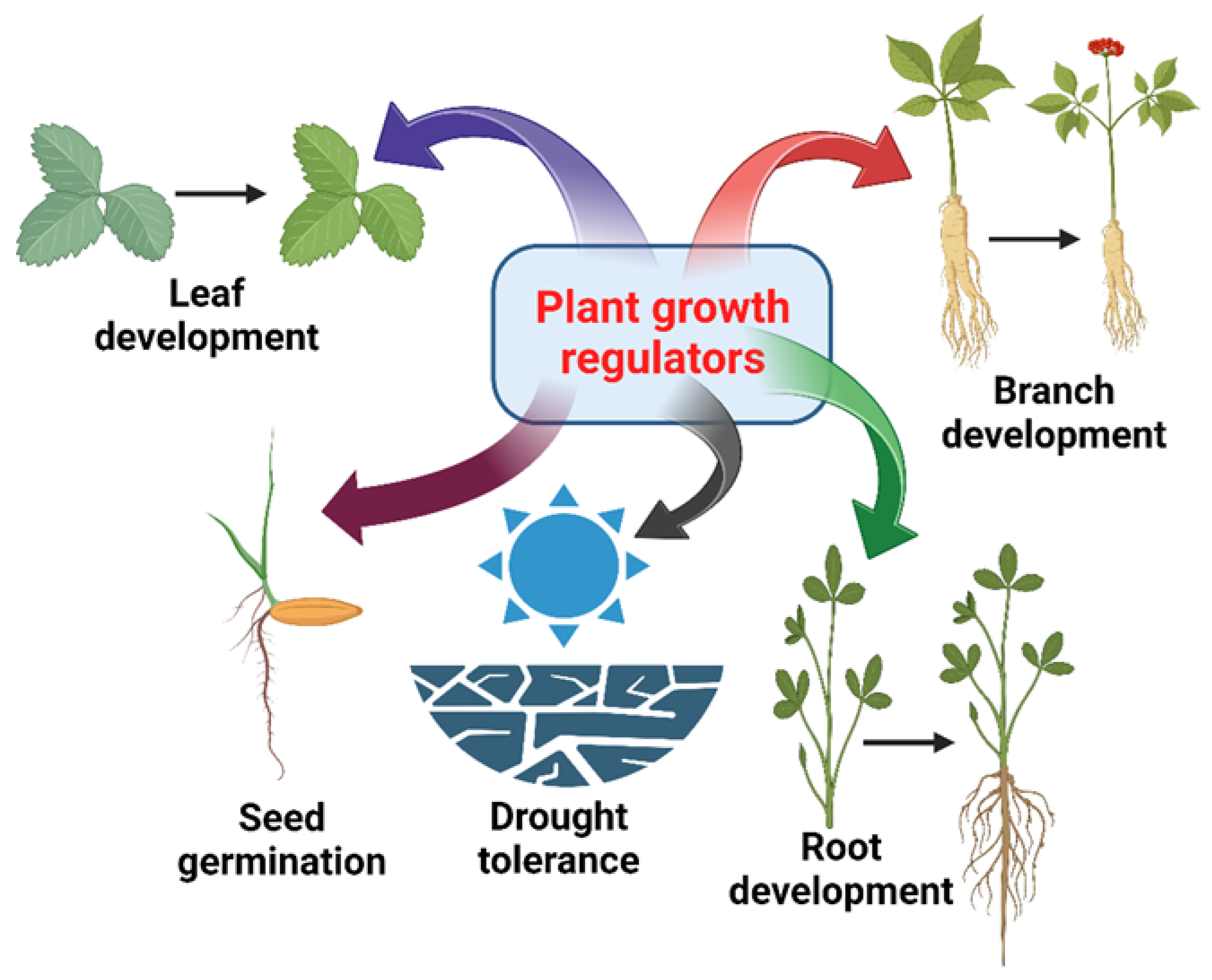 Agriculture 14 00796 g005