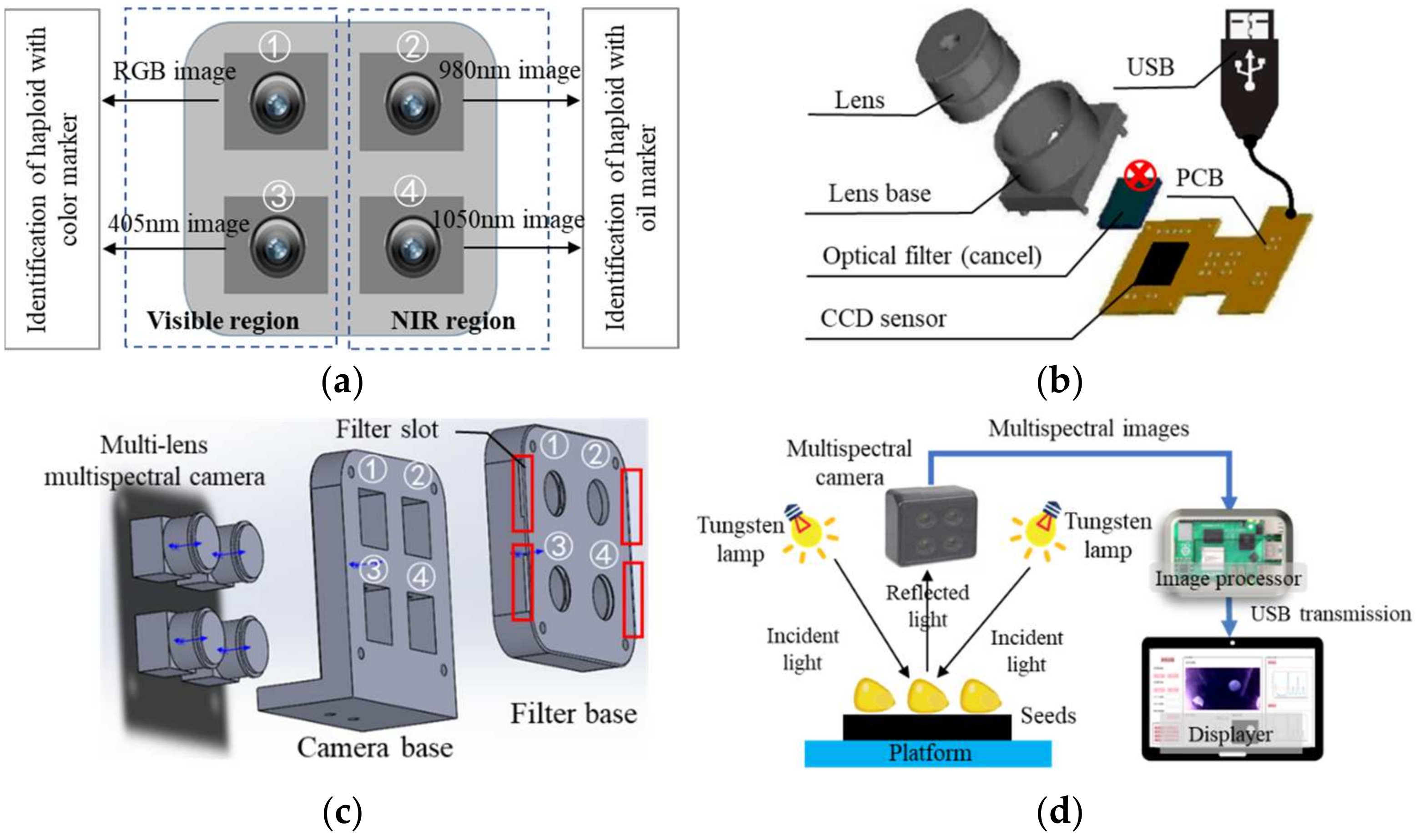 Agriculture 14 00800 g001