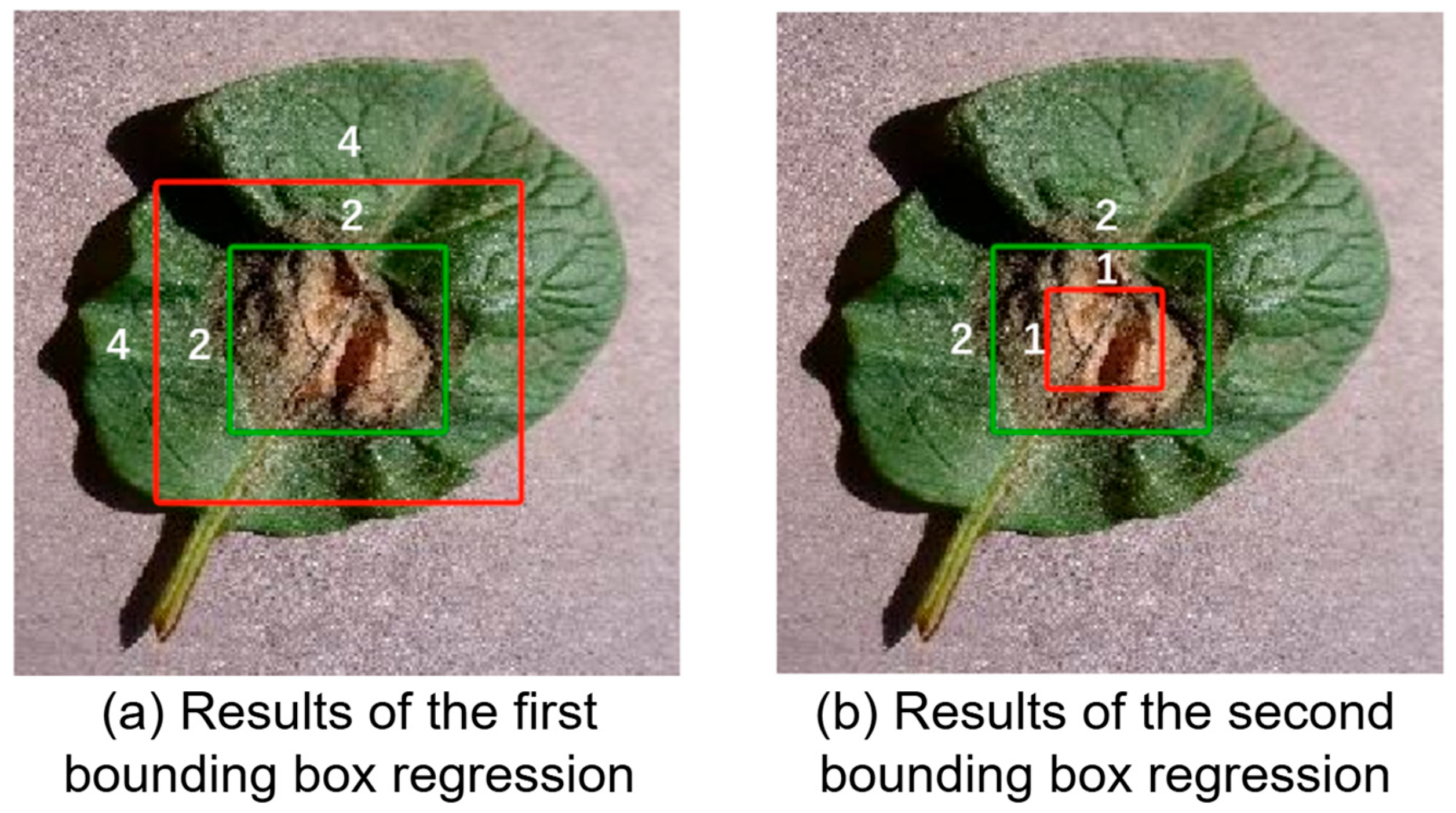 Agriculture 14 00820 g007