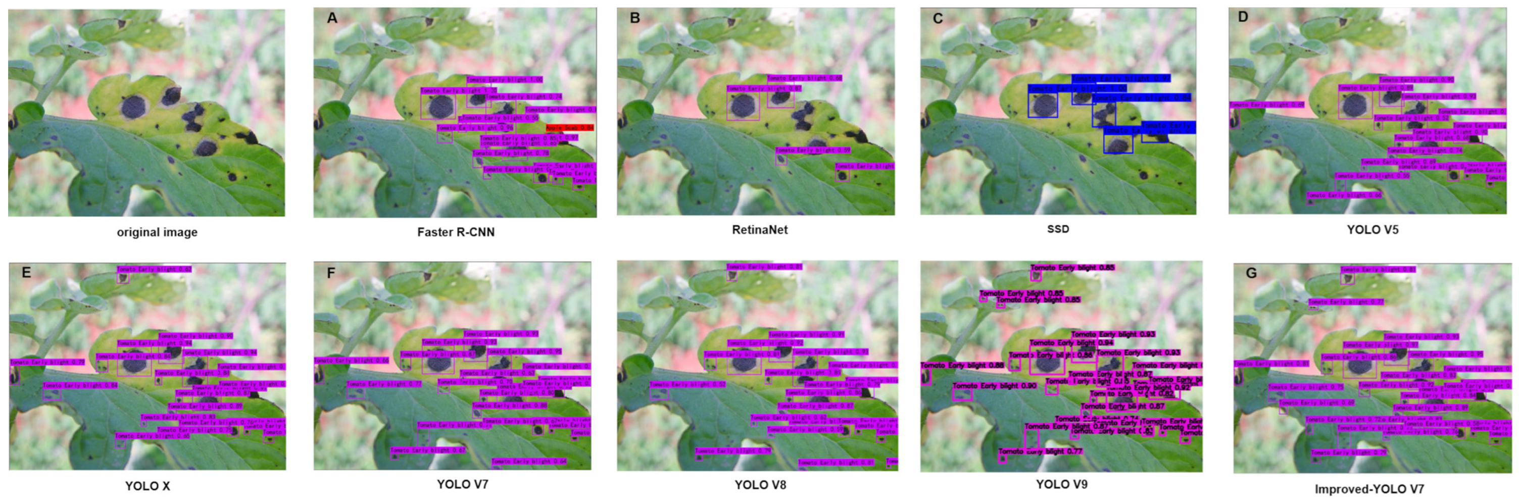 Agriculture 14 00820 g012