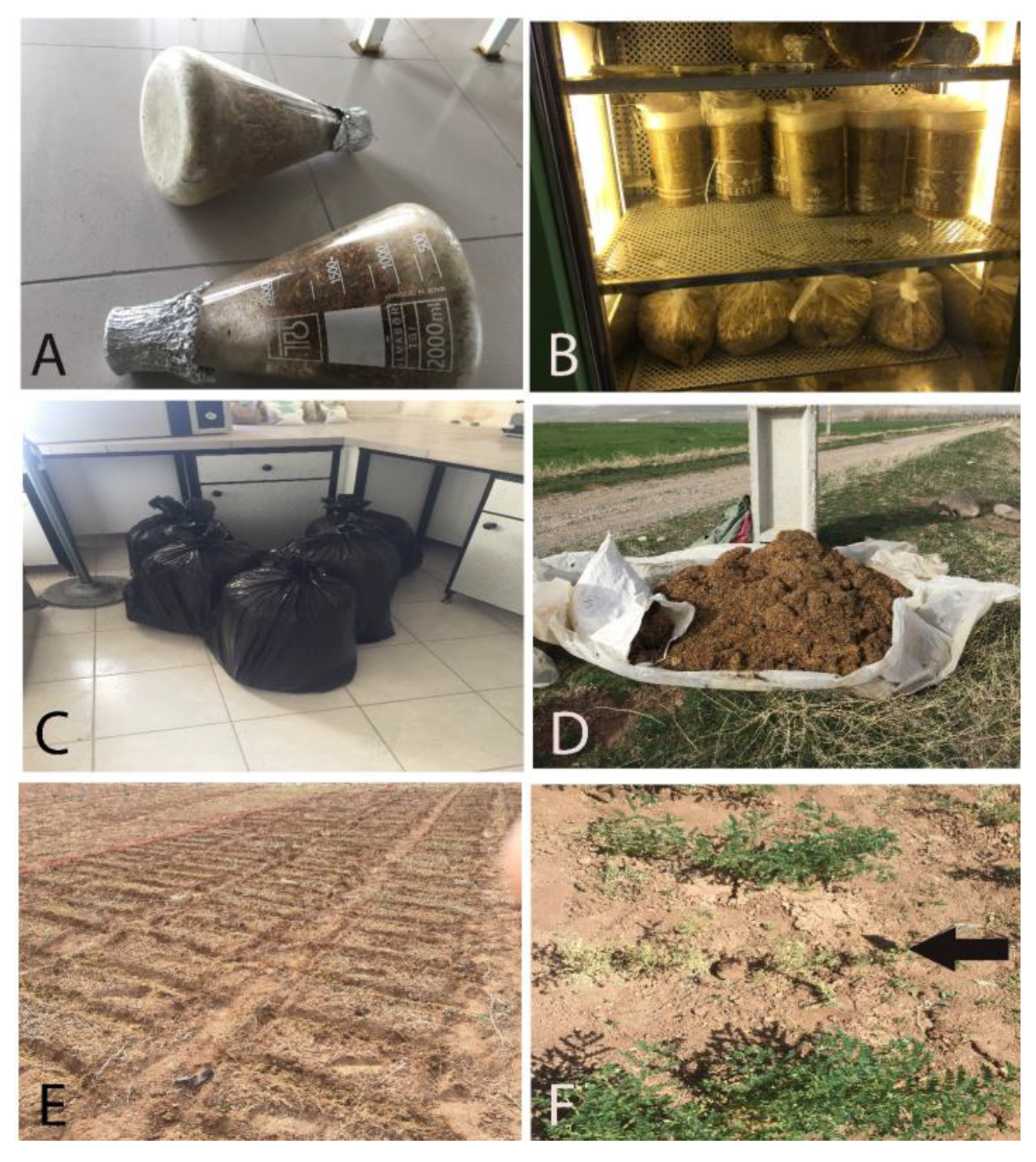 Agriculture 14 00824 g001