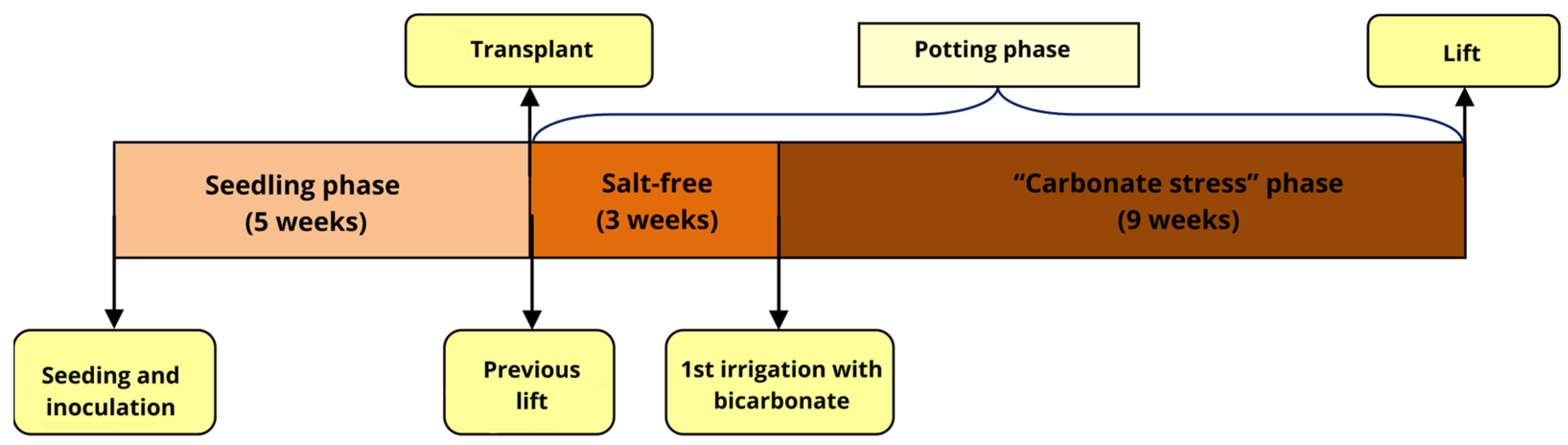 Agriculture 14 00828 g003