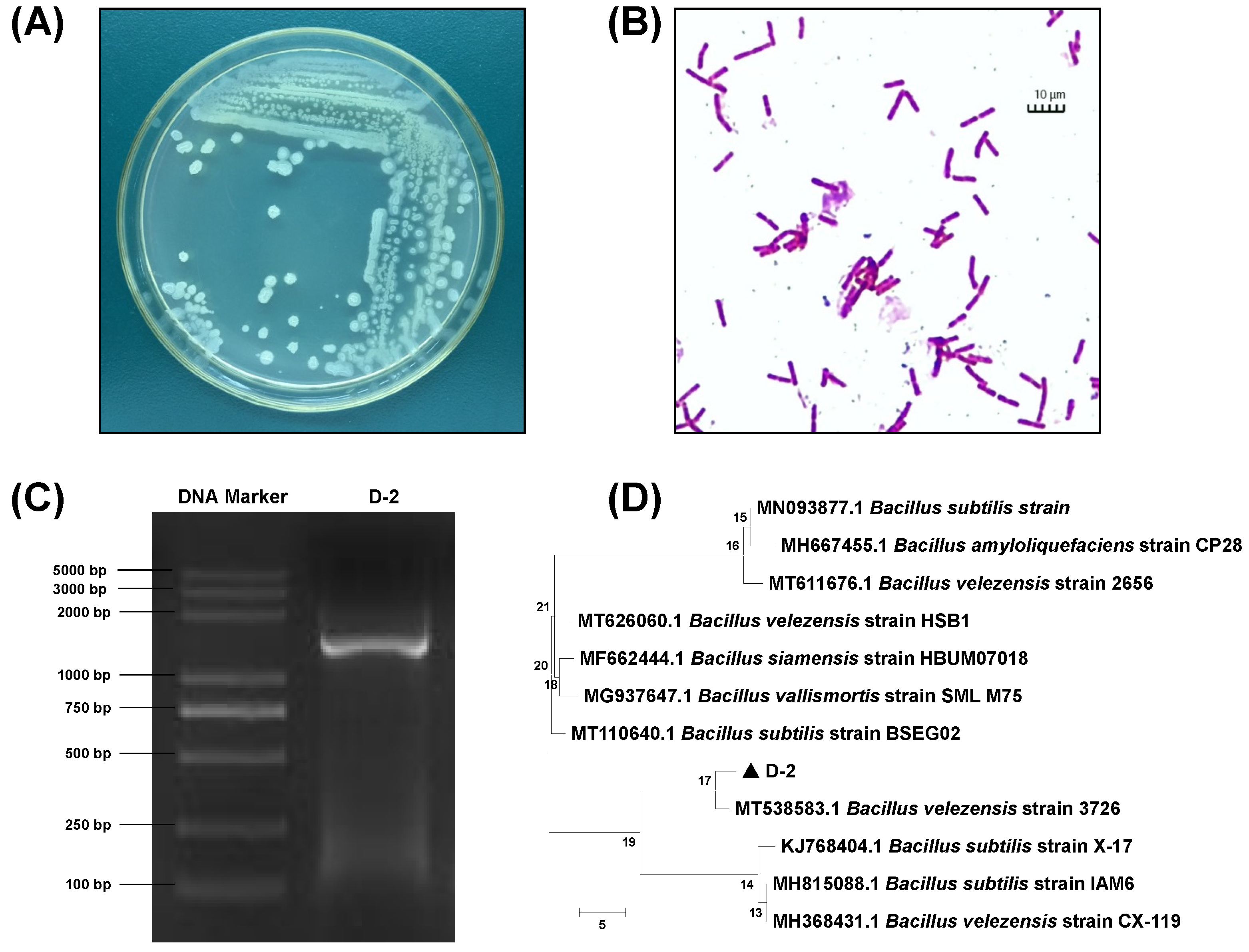 Agriculture 14 00830 g001