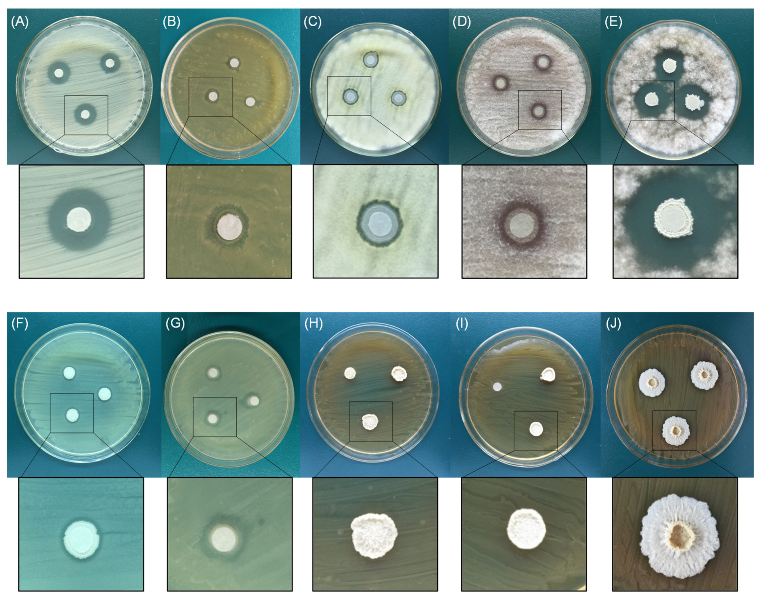 Agriculture 14 00830 g003