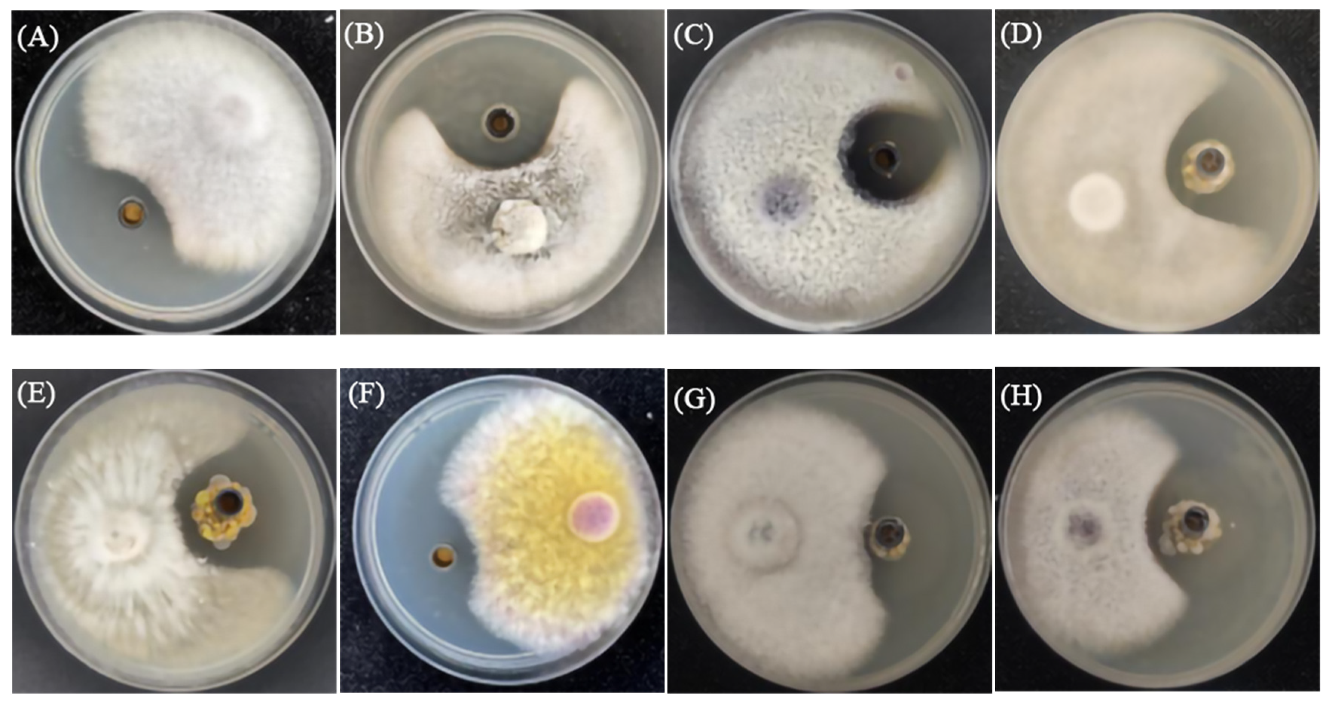 Agriculture 14 00833 g003