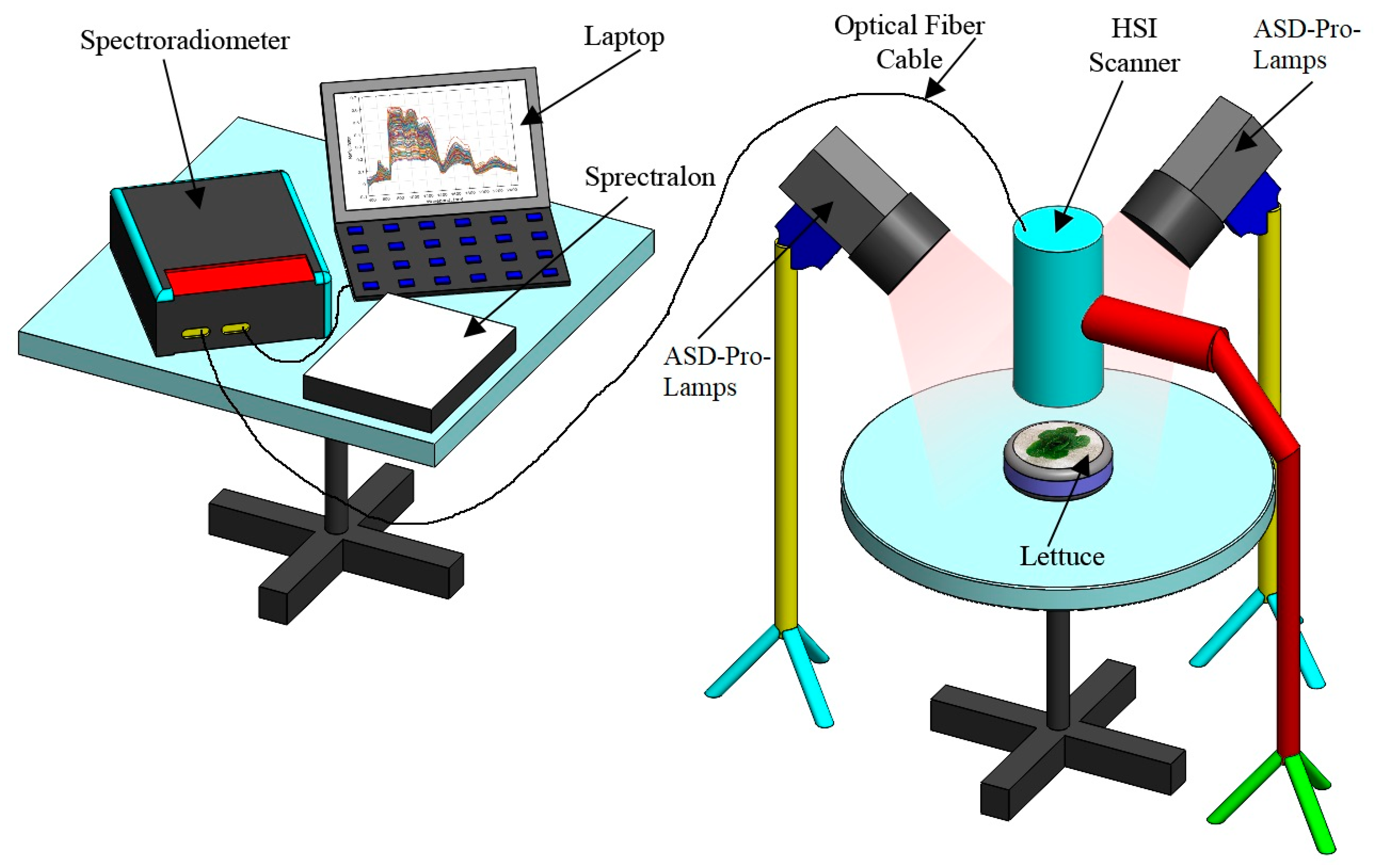 Agriculture 14 00834 g001