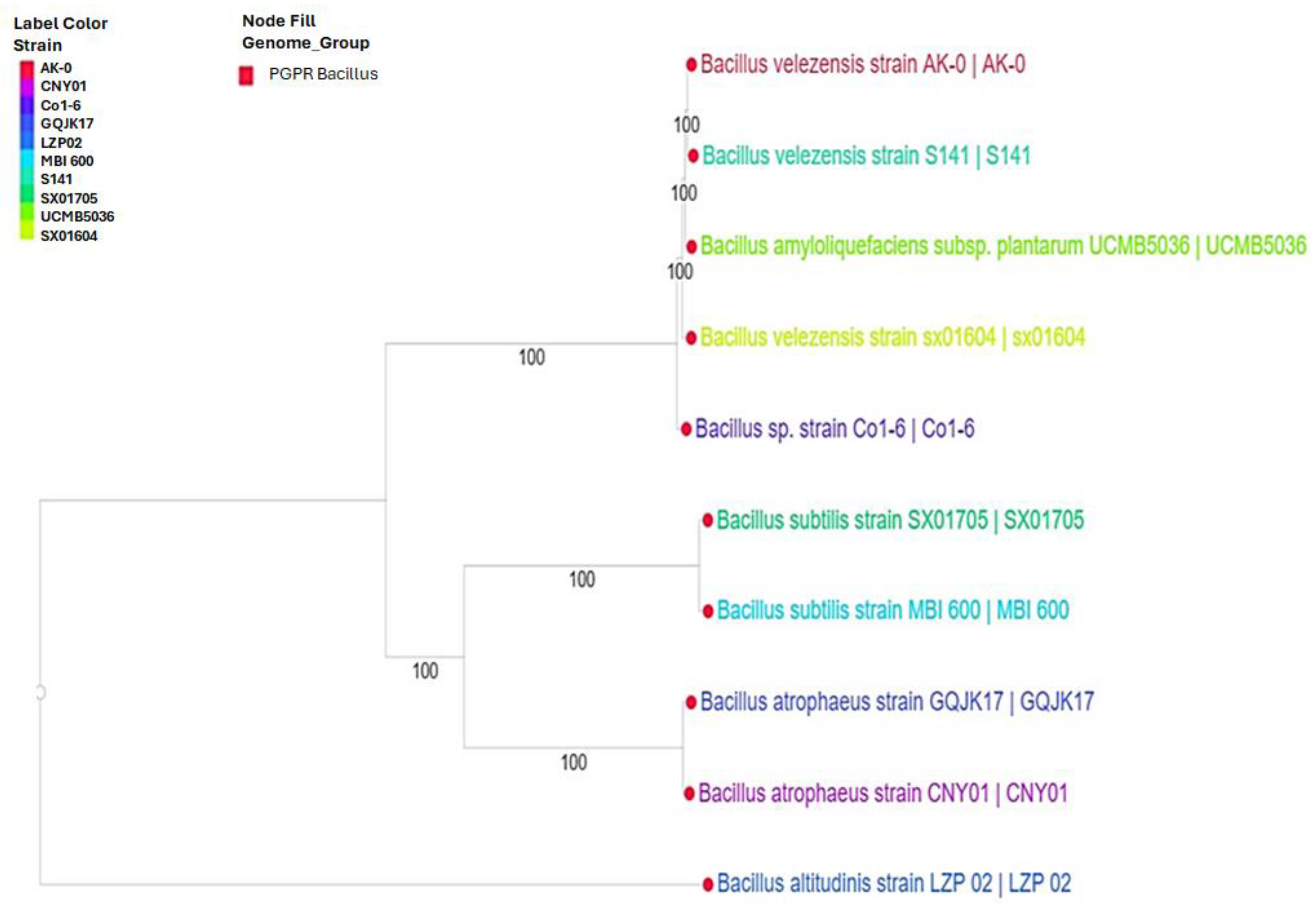Agriculture 14 00838 g002