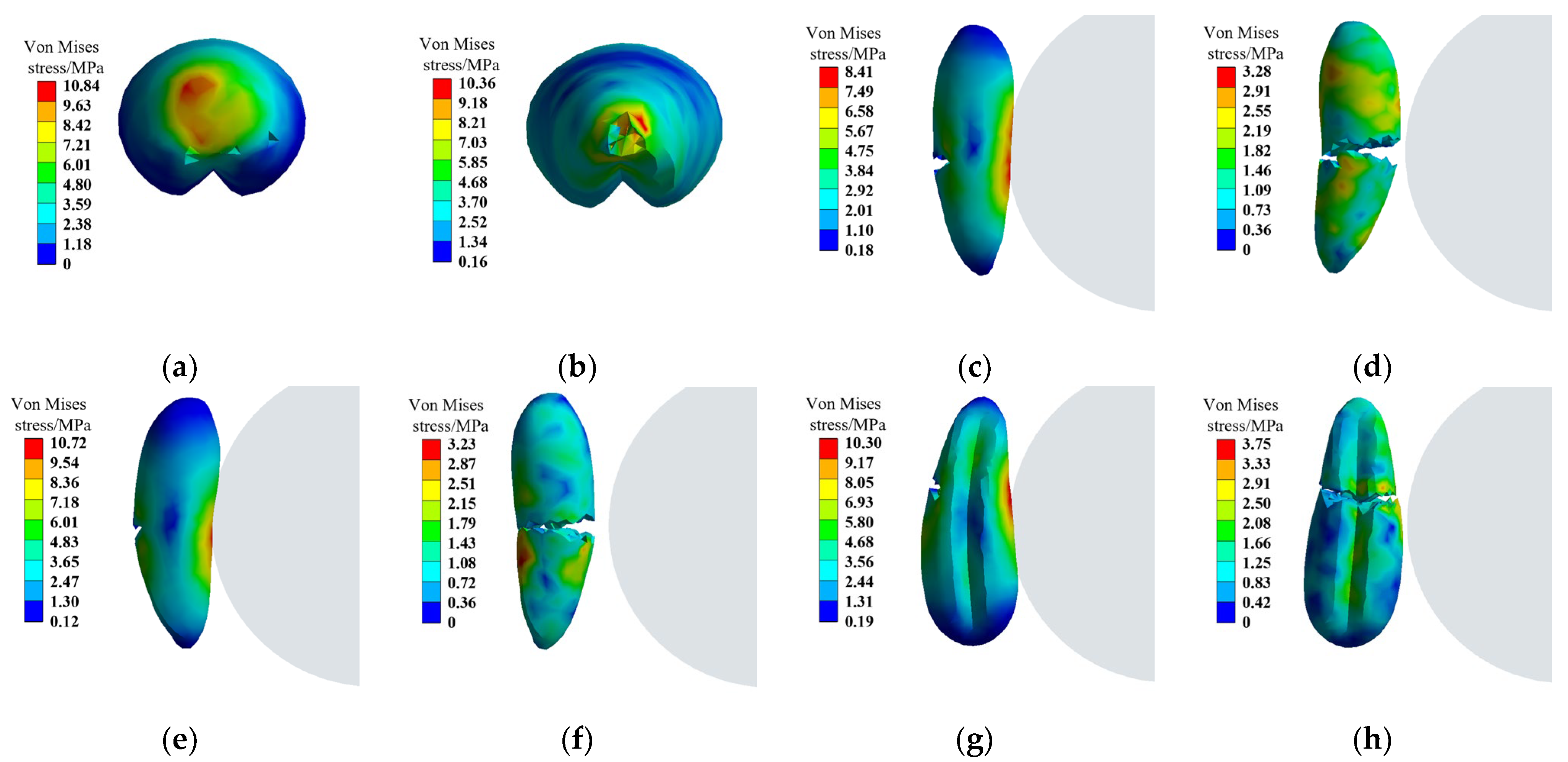 Agriculture 14 00842 g009