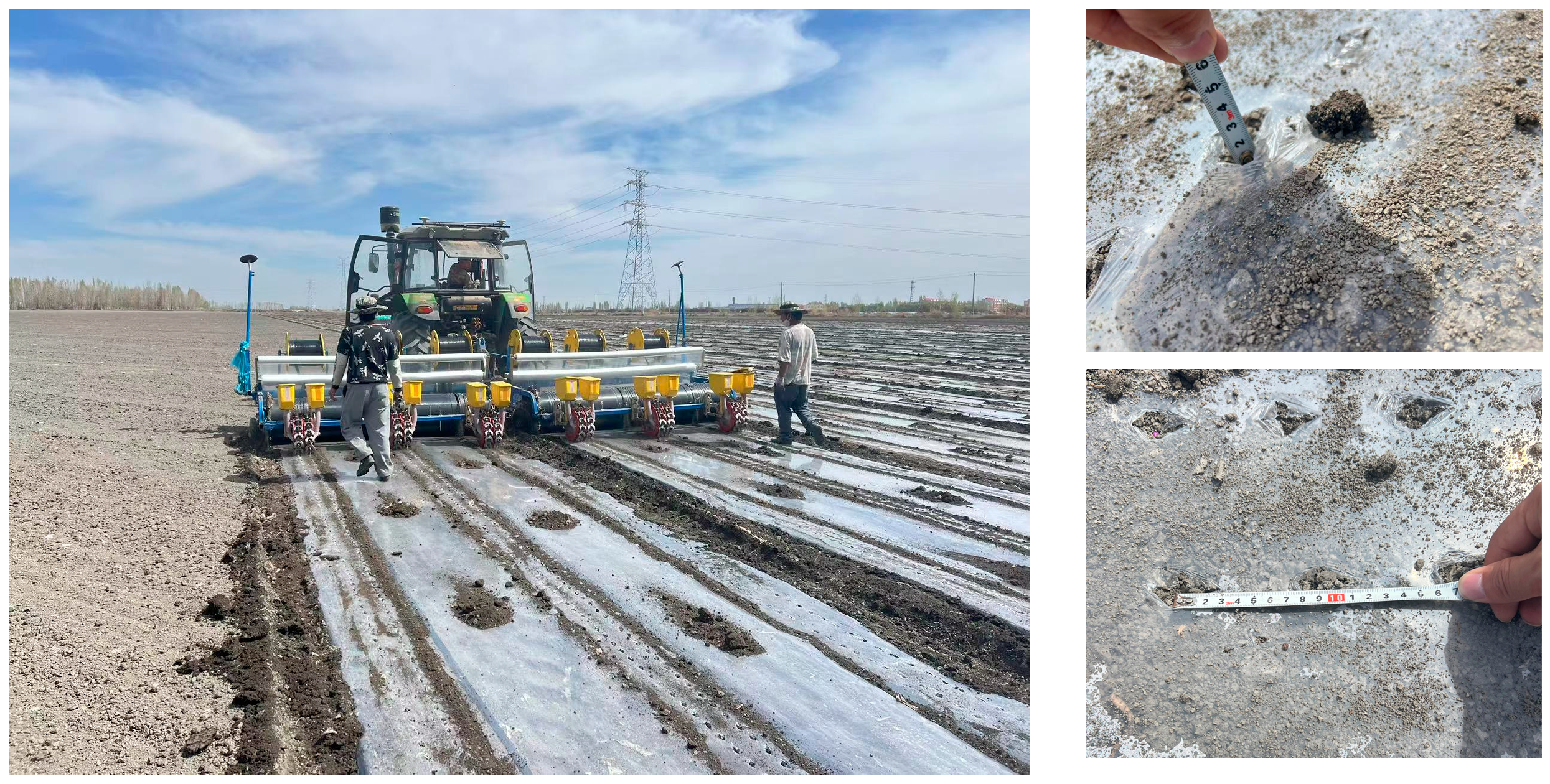 Agriculture 14 00843 g006