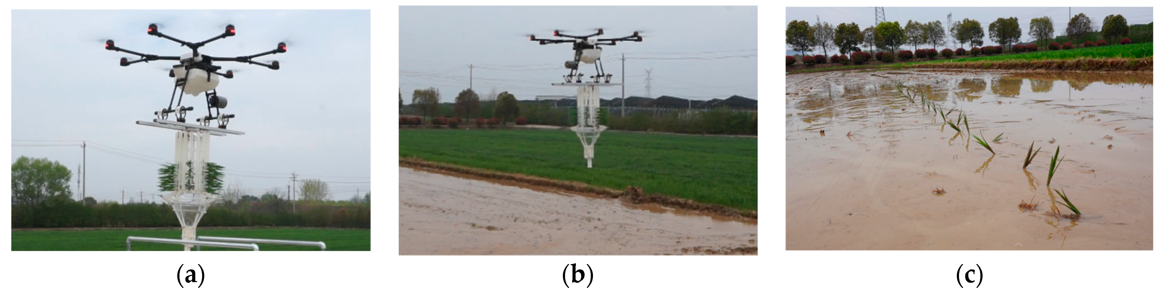 Agriculture 14 00847 g010