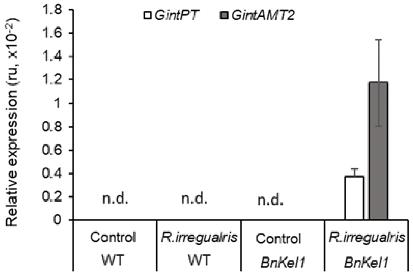 Agriculture 14 00851 g002
