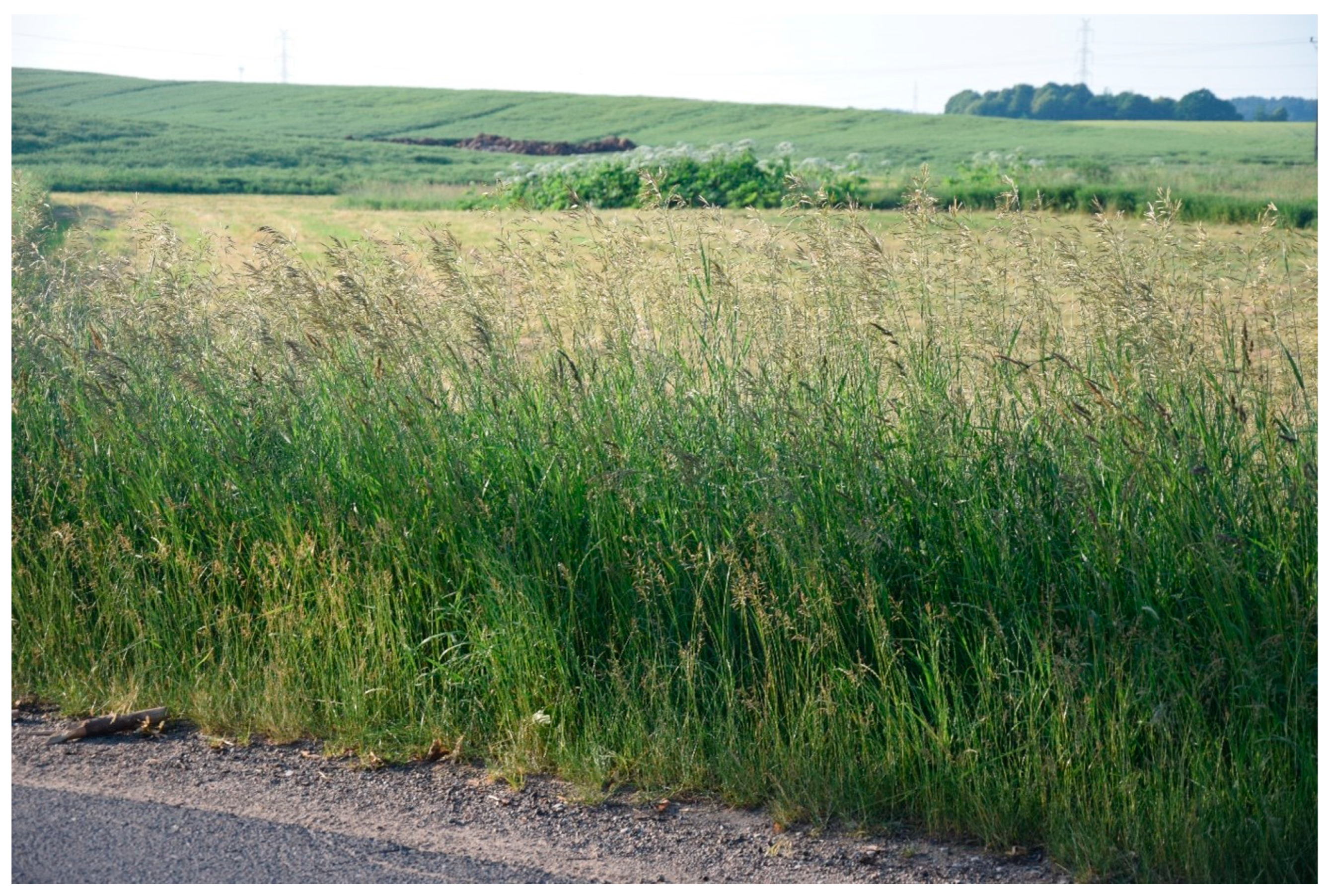 Agriculture 14 00854 g004