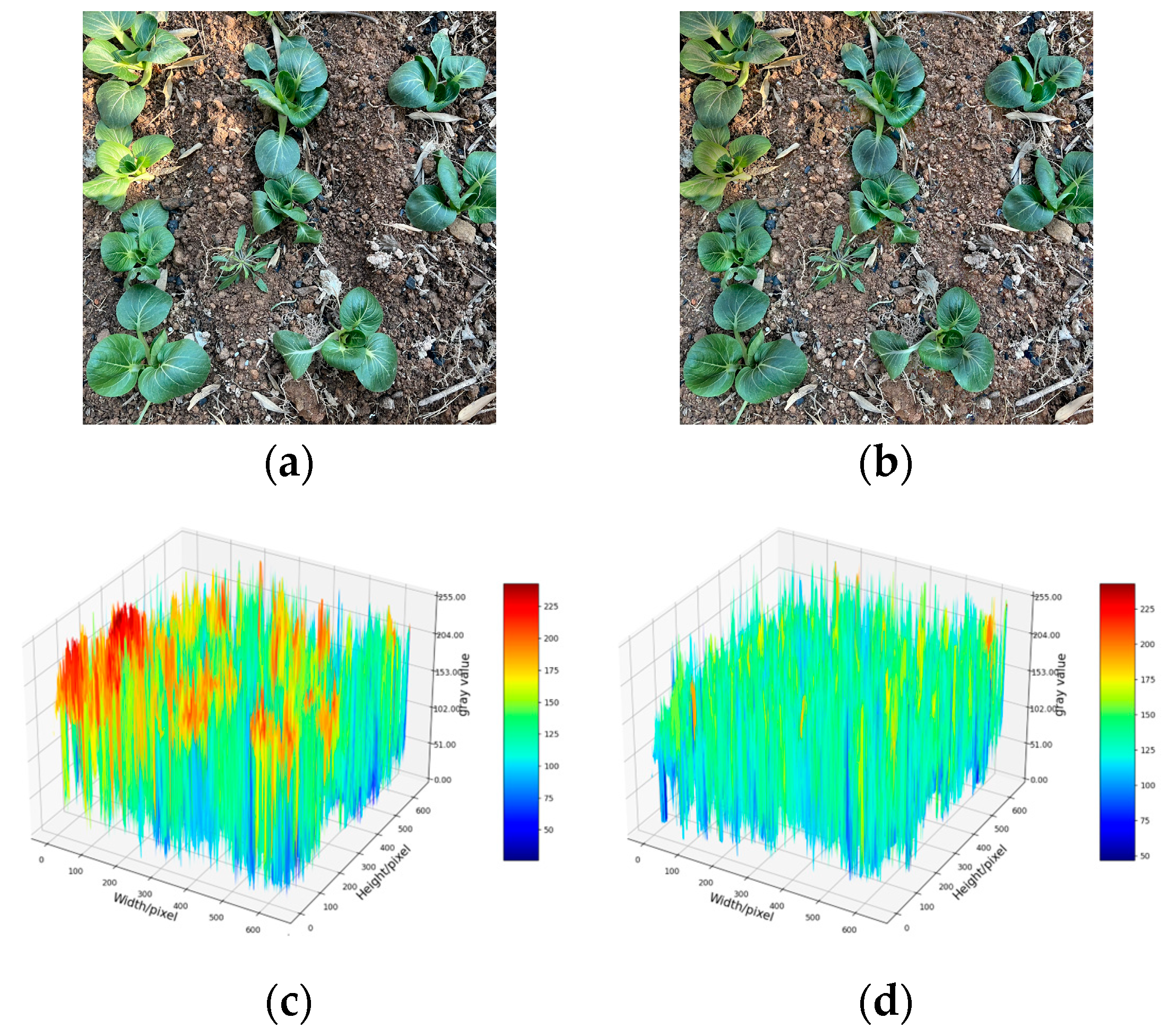 Agriculture 14 00856 g007